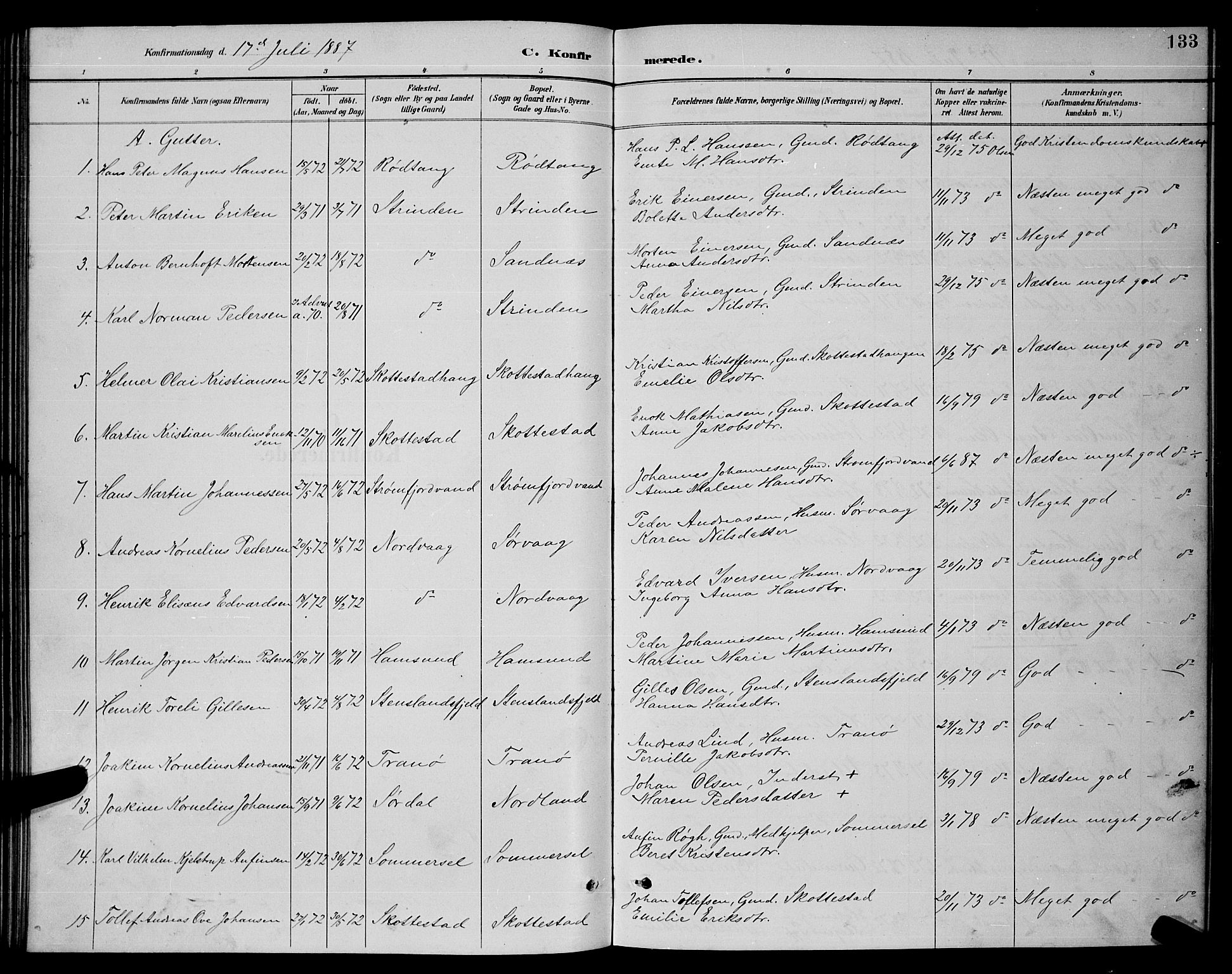 Ministerialprotokoller, klokkerbøker og fødselsregistre - Nordland, AV/SAT-A-1459/859/L0859: Parish register (copy) no. 859C05, 1887-1898, p. 133