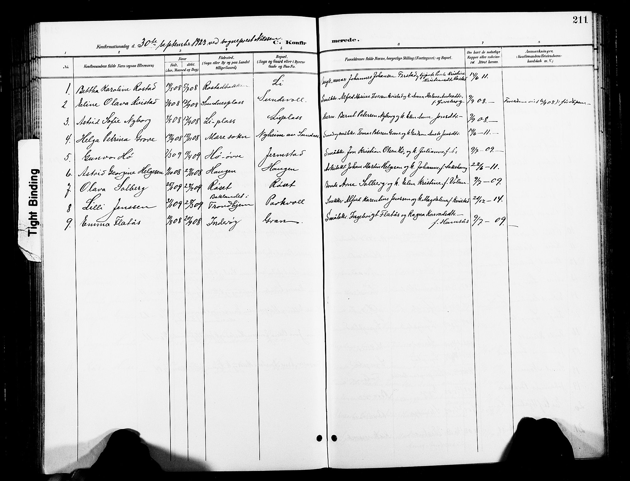 Ministerialprotokoller, klokkerbøker og fødselsregistre - Nord-Trøndelag, AV/SAT-A-1458/730/L0302: Parish register (copy) no. 730C05, 1898-1924, p. 211