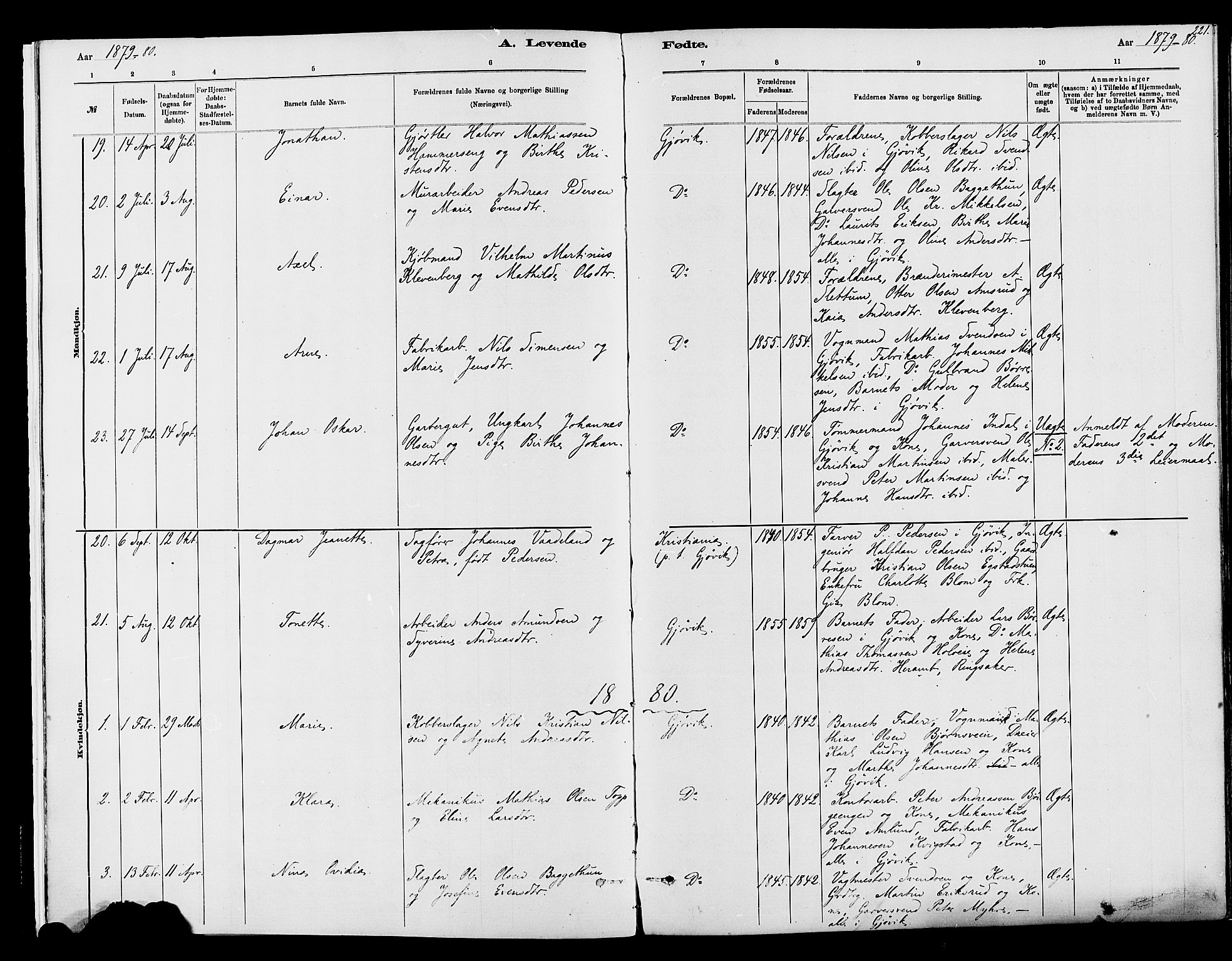 Vardal prestekontor, SAH/PREST-100/H/Ha/Haa/L0008: Parish register (official) no. 8, 1878-1890, p. 221