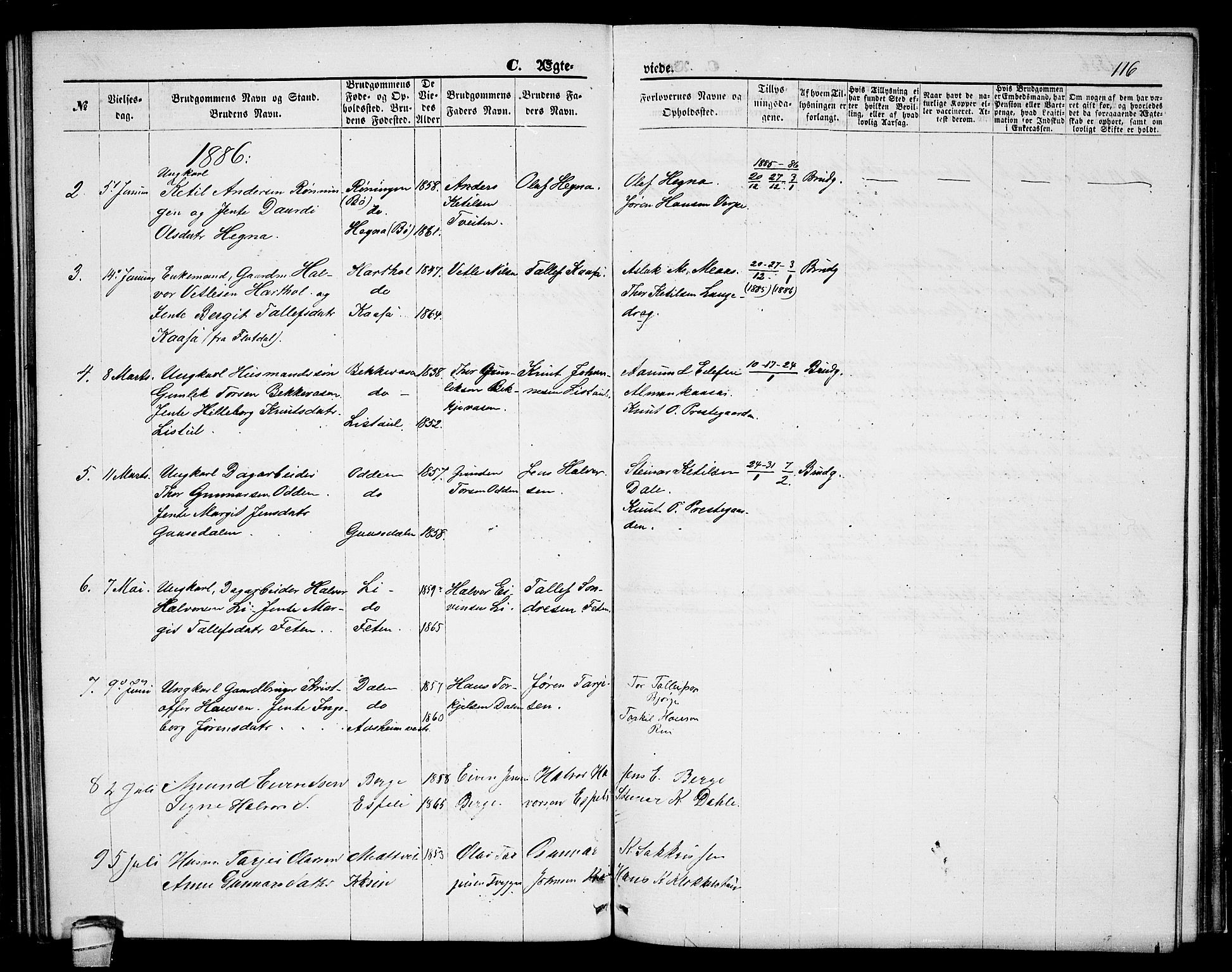 Seljord kirkebøker, AV/SAKO-A-20/G/Ga/L0004: Parish register (copy) no. I 4, 1873-1886, p. 116