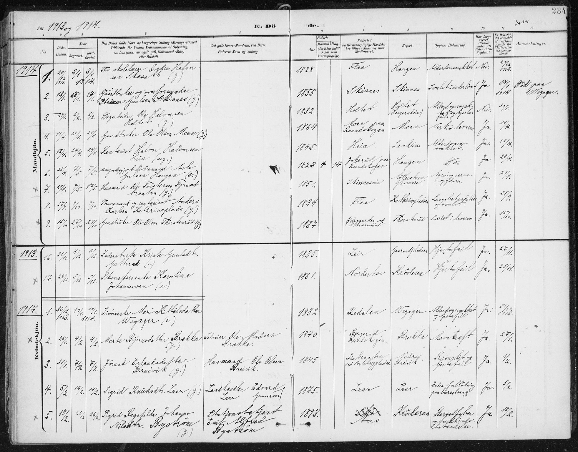 Krødsherad kirkebøker, AV/SAKO-A-19/F/Fa/L0007: Parish register (official) no. 7, 1900-1915, p. 234