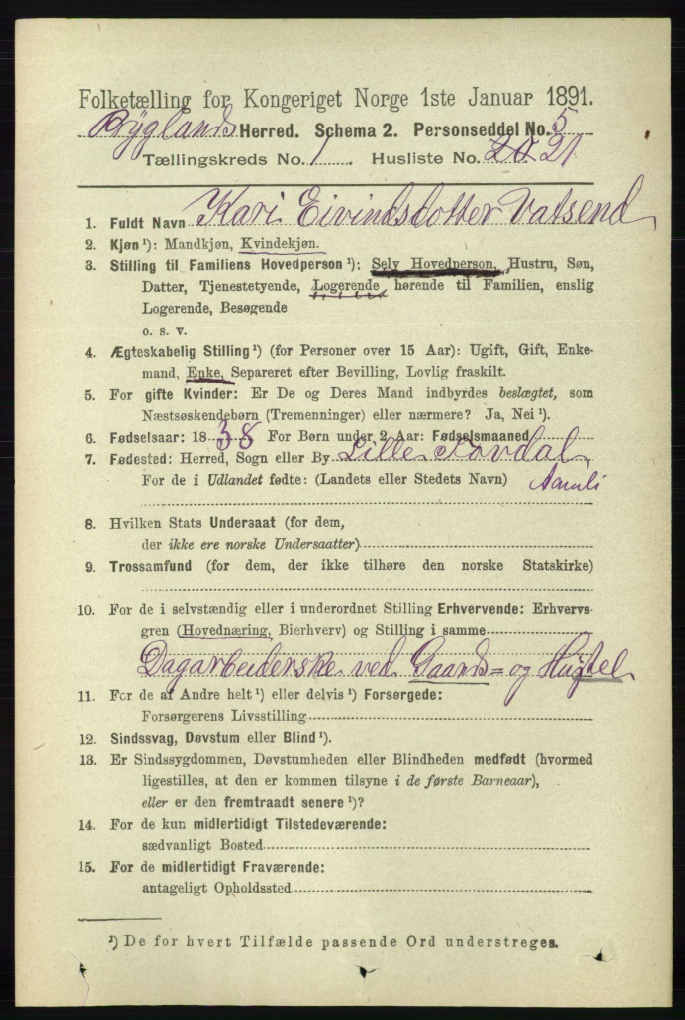 RA, 1891 census for 0938 Bygland, 1891, p. 202