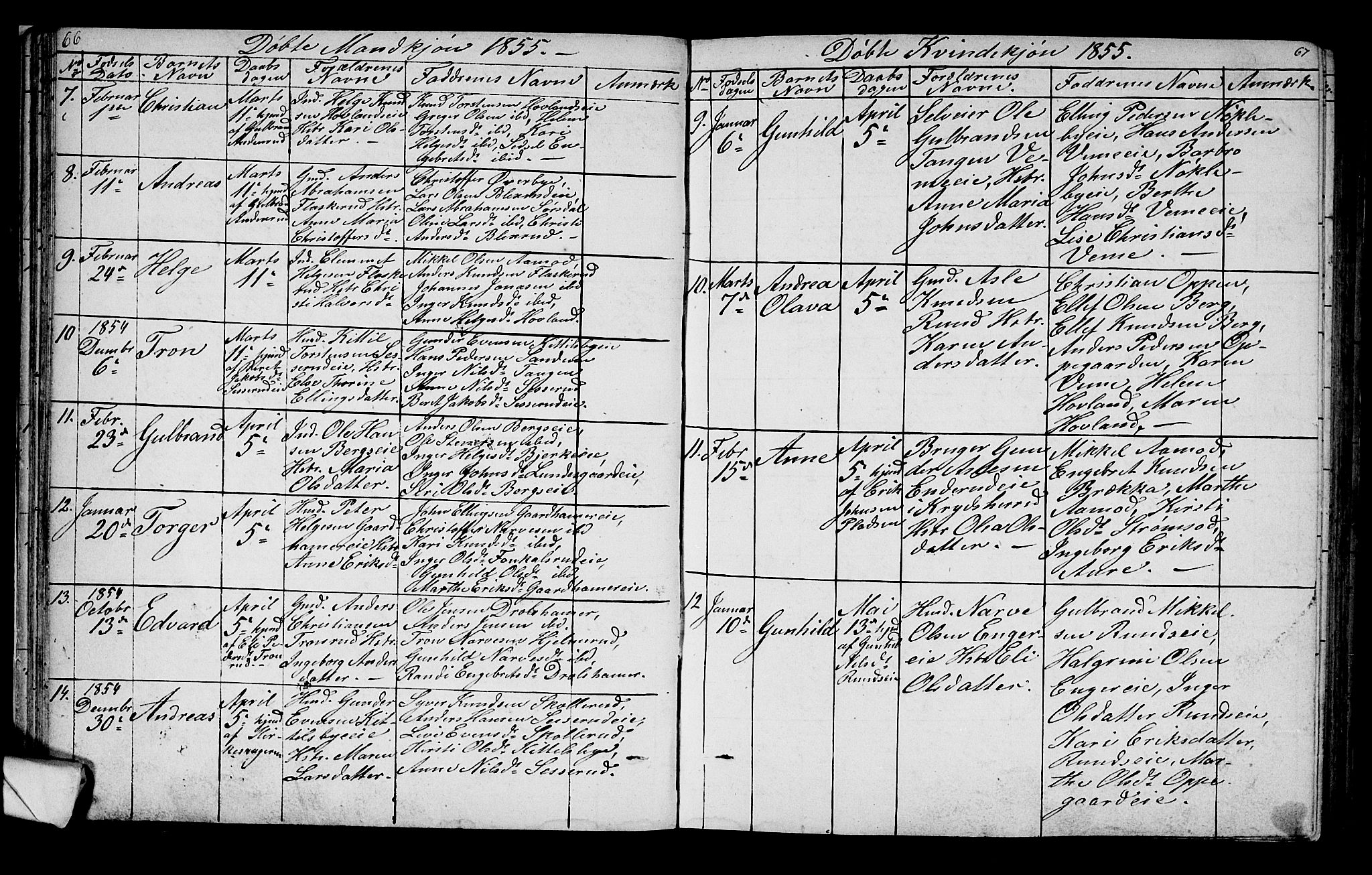 Lunder kirkebøker, SAKO/A-629/G/Ga/L0002: Parish register (copy) no. I 2, 1849-1868, p. 66-67