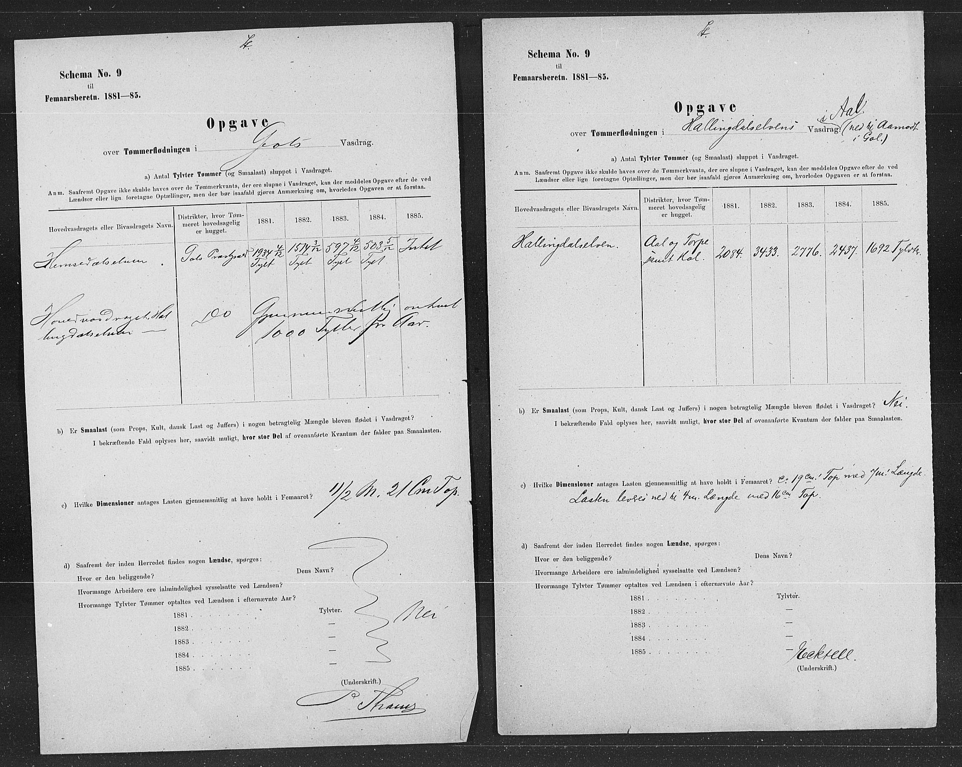 Statistisk sentralbyrå, Næringsøkonomiske emner, Generelt - Amtmennenes femårsberetninger, AV/RA-S-2233/F/Fa/L0061: --, 1881-1885, p. 5