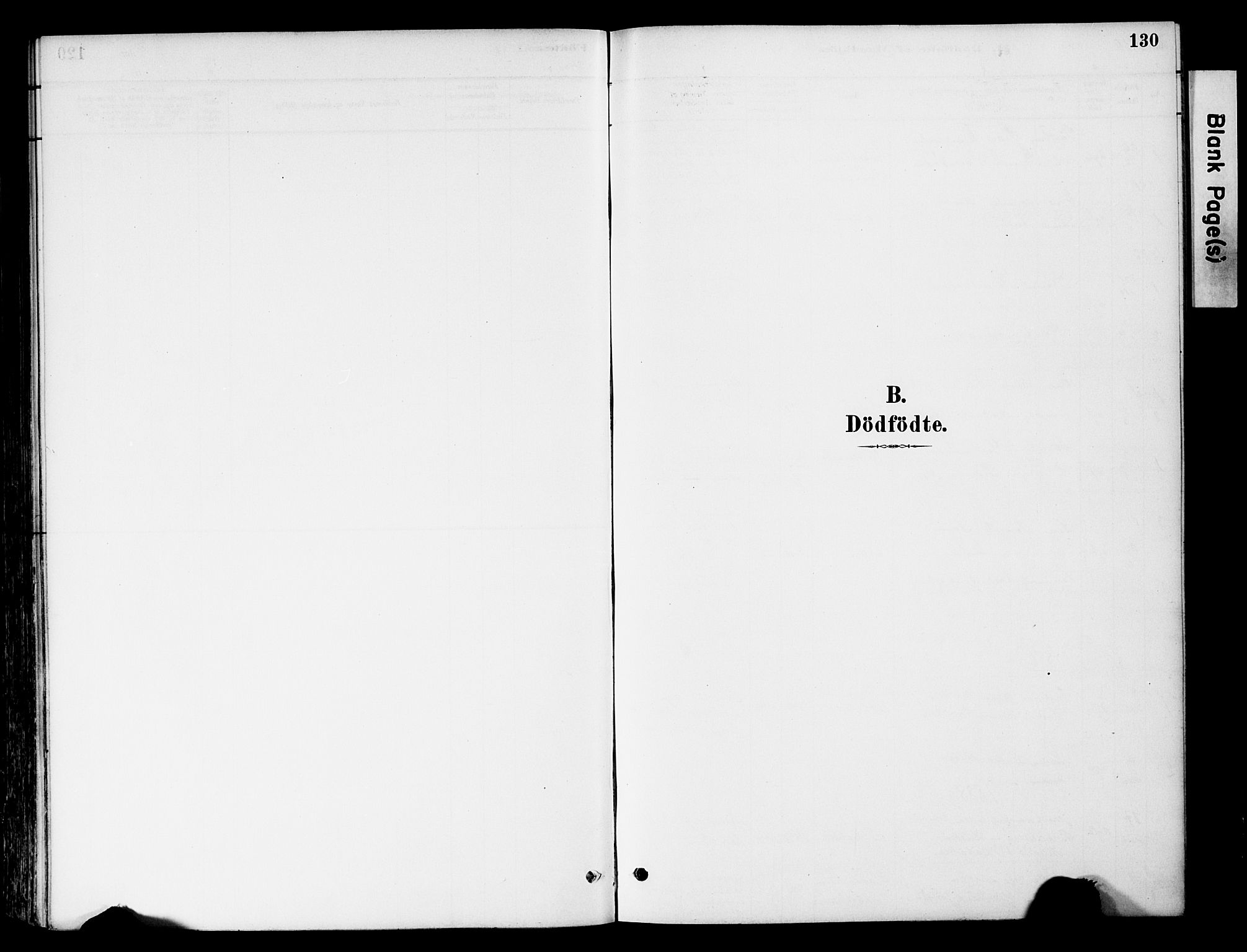 Tynset prestekontor, SAH/PREST-058/H/Ha/Haa/L0022: Parish register (official) no. 22, 1880-1899, p. 130