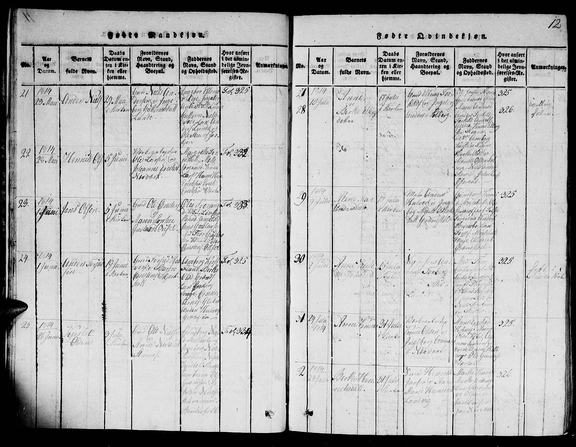 Holt sokneprestkontor, AV/SAK-1111-0021/F/Fb/L0006: Parish register (copy) no. B 6, 1813-1823, p. 12