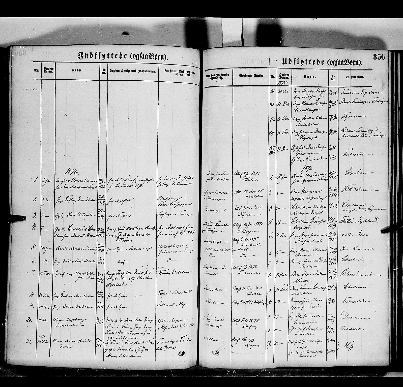 Grue prestekontor, SAH/PREST-036/H/Ha/Haa/L0011: Parish register (official) no. 11, 1873-1880, p. 356