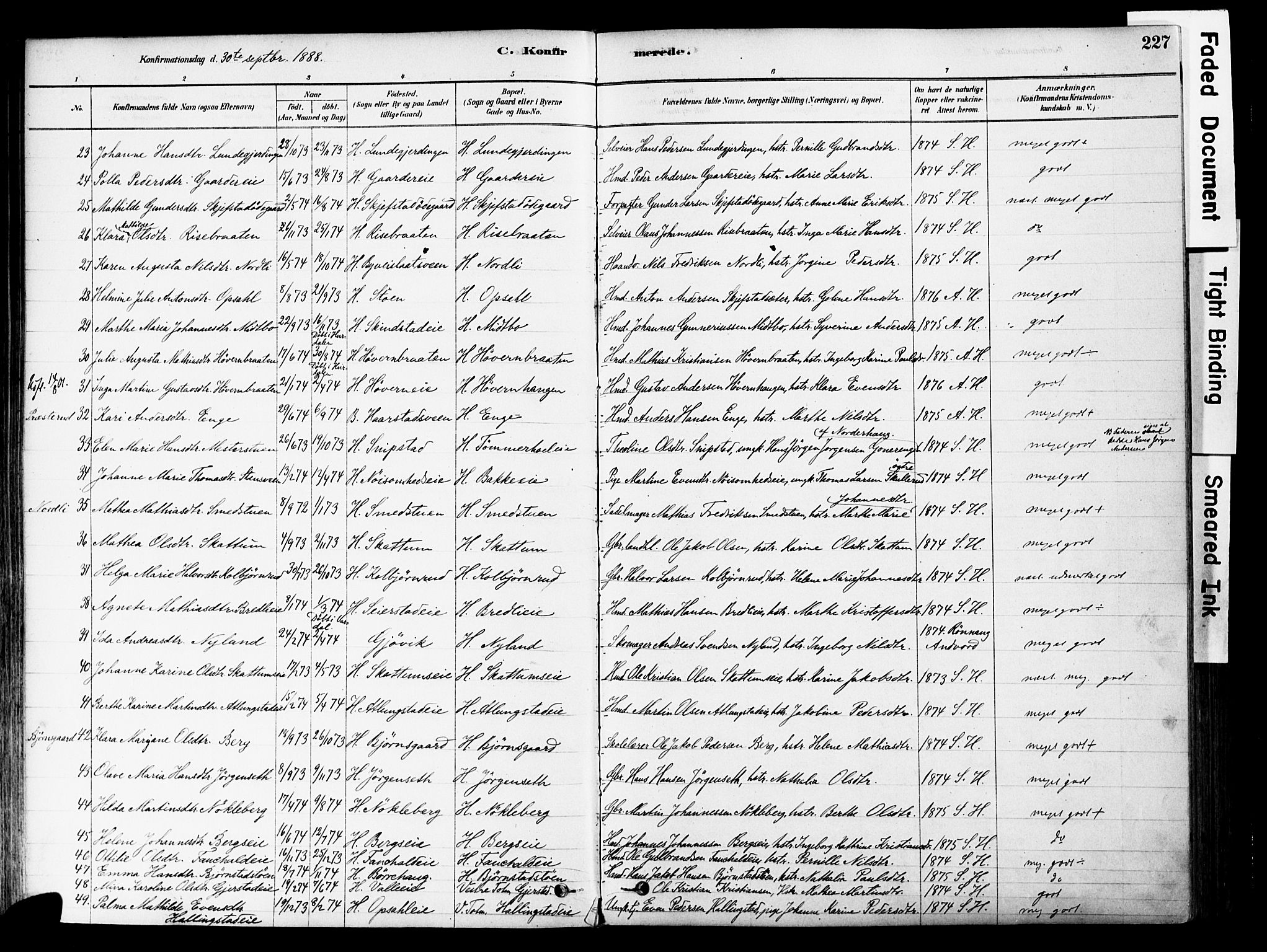 Østre Toten prestekontor, SAH/PREST-104/H/Ha/Haa/L0006: Parish register (official) no. 6 /1, 1878-1896, p. 227