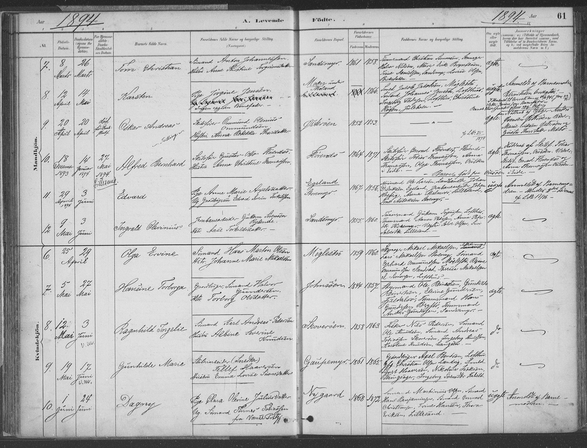 Vestre Moland sokneprestkontor, AV/SAK-1111-0046/F/Fa/Fab/L0009: Parish register (official) no. A 9, 1884-1899, p. 61