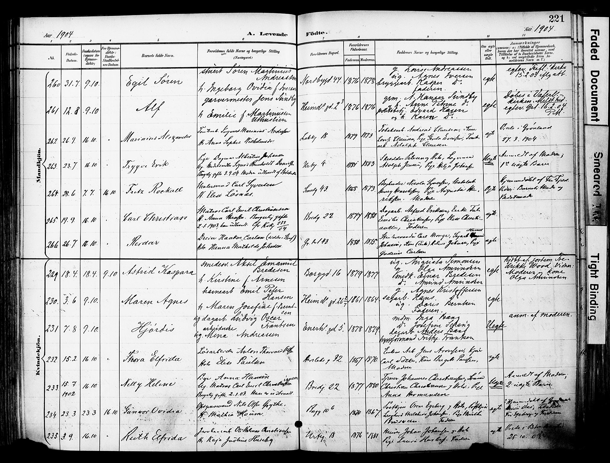 Grønland prestekontor Kirkebøker, SAO/A-10848/F/Fa/L0014: Parish register (official) no. 14, 1900-1911, p. 221
