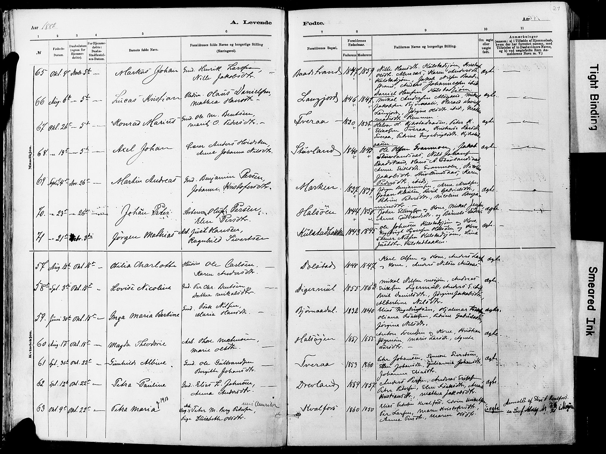 Ministerialprotokoller, klokkerbøker og fødselsregistre - Nordland, AV/SAT-A-1459/820/L0295: Parish register (official) no. 820A16, 1880-1896, p. 21