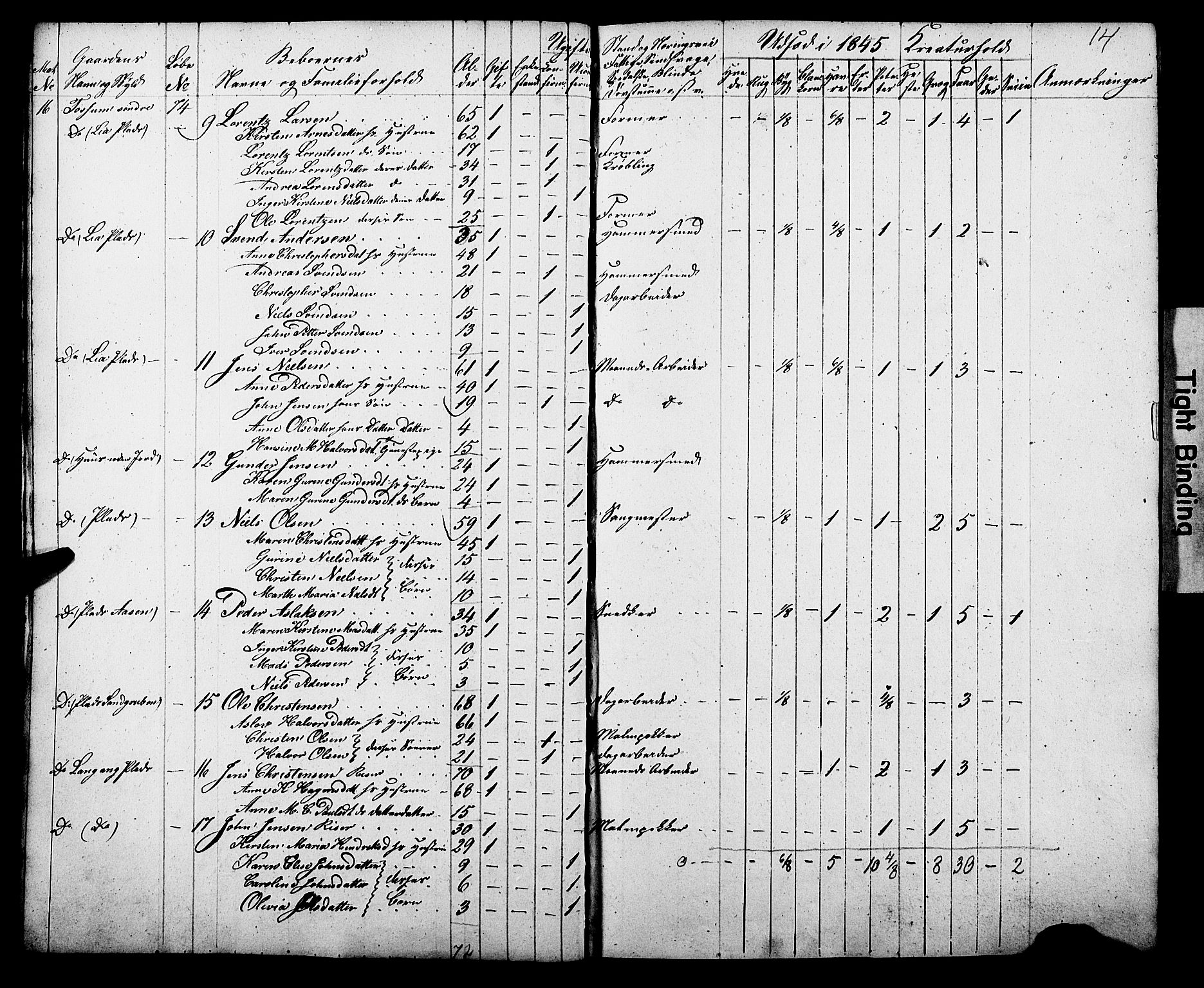 , Census 1845 for Gjerpen, 1845, p. 14