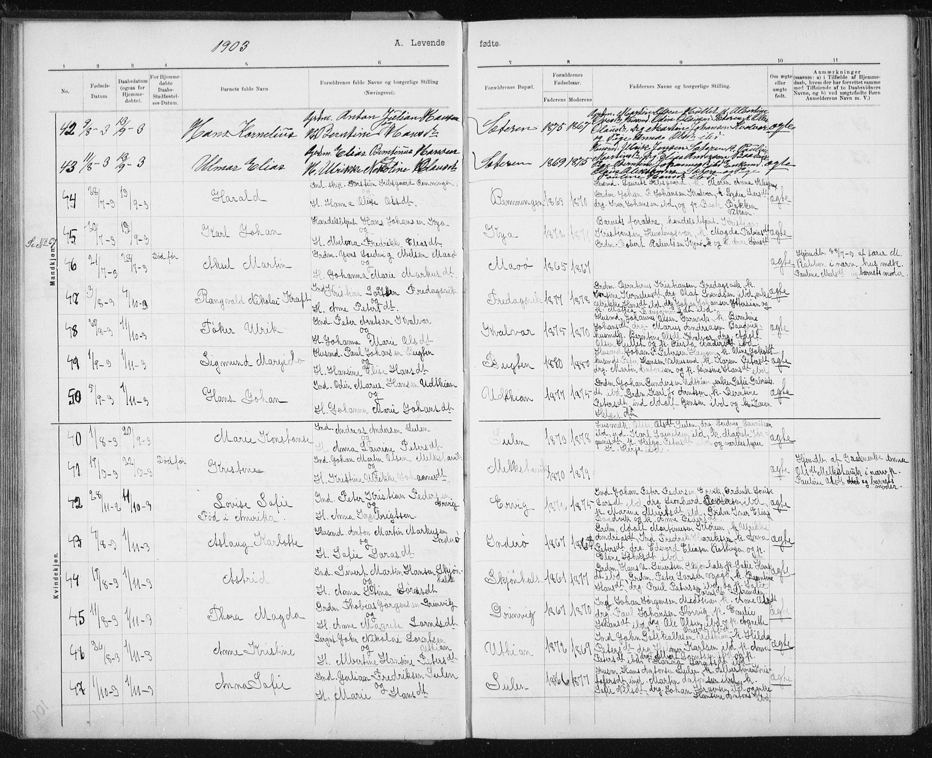 Ministerialprotokoller, klokkerbøker og fødselsregistre - Sør-Trøndelag, AV/SAT-A-1456/640/L0586: Parish register (copy) no. 640C03b, 1891-1908