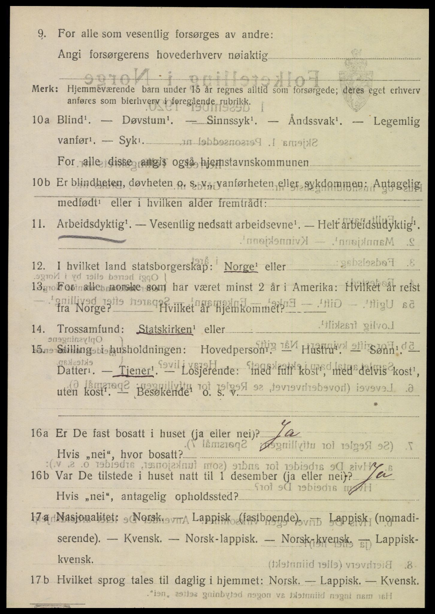 SAT, 1920 census for Hattfjelldal, 1920, p. 541