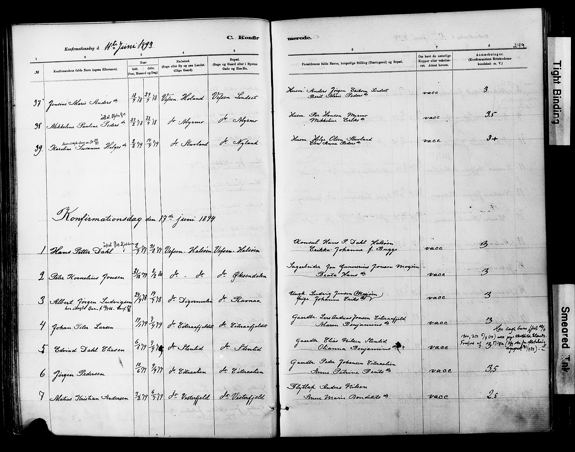 Ministerialprotokoller, klokkerbøker og fødselsregistre - Nordland, SAT/A-1459/820/L0295: Parish register (official) no. 820A16, 1880-1896, p. 249