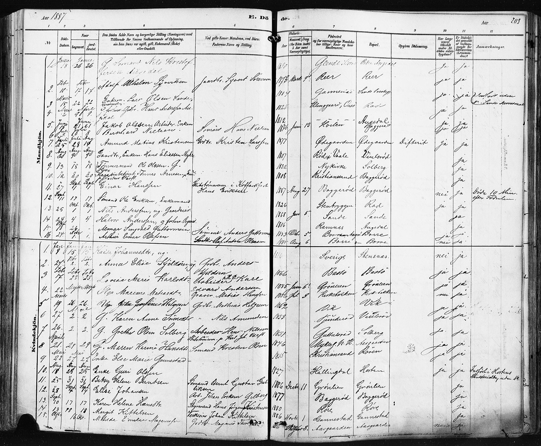 Borre kirkebøker, AV/SAKO-A-338/F/Fa/L0009: Parish register (official) no. I 9, 1878-1896, p. 203