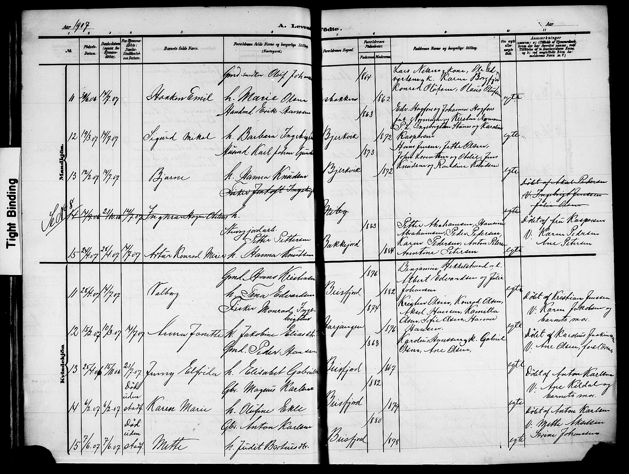 Ministerialprotokoller, klokkerbøker og fødselsregistre - Nordland, AV/SAT-A-1459/866/L0954: Parish register (copy) no. 866C03, 1905-1923