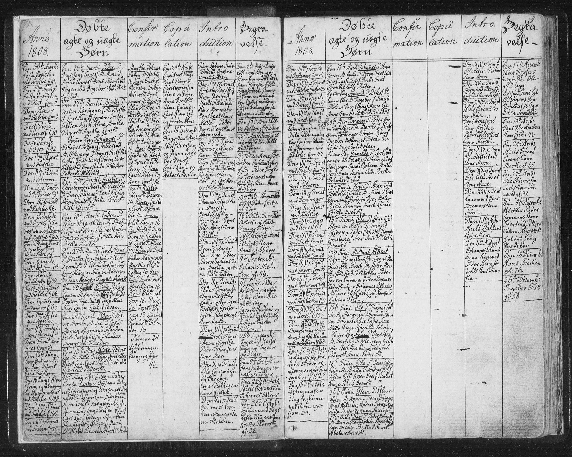 Hafslo sokneprestembete, AV/SAB-A-80301/H/Haa/Haaa/L0003: Parish register (official) no. A 3, 1807-1821, p. 5