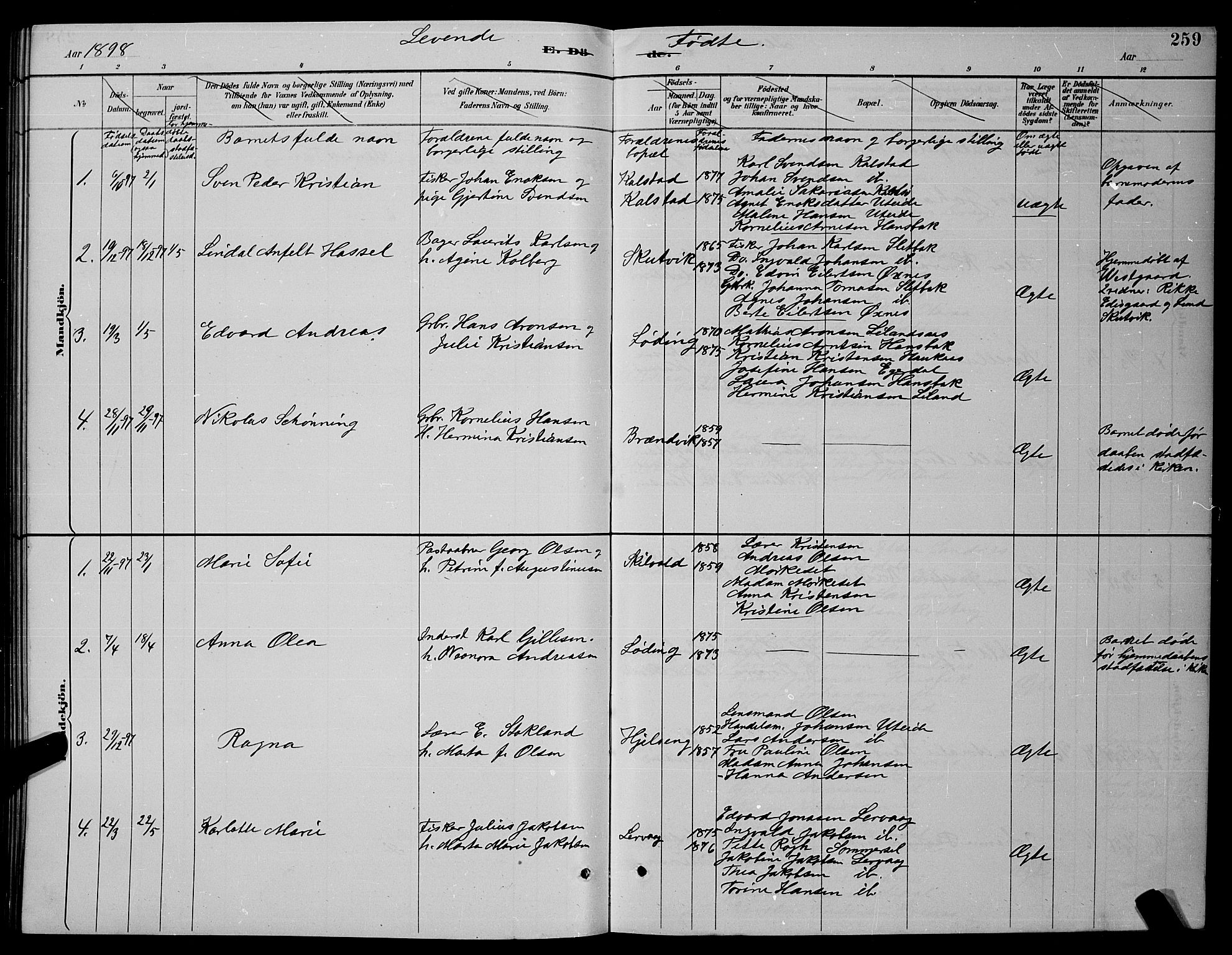 Ministerialprotokoller, klokkerbøker og fødselsregistre - Nordland, SAT/A-1459/859/L0859: Parish register (copy) no. 859C05, 1887-1898, p. 259