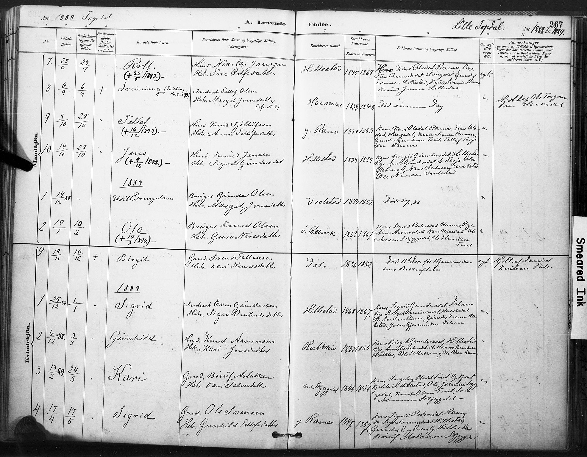 Åmli sokneprestkontor, AV/SAK-1111-0050/F/Fa/Fac/L0010: Parish register (official) no. A 10 /3, 1885-1899, p. 267