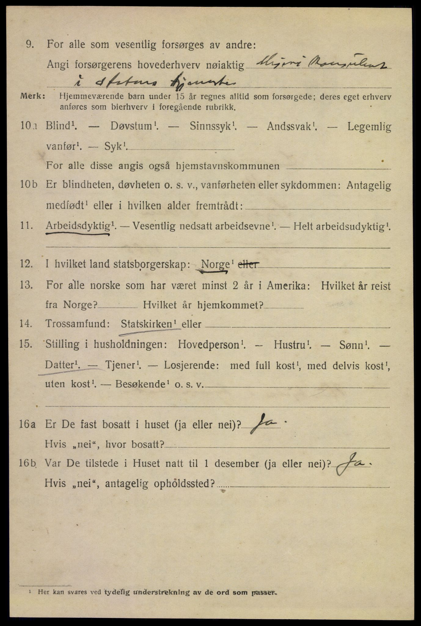 SAKO, 1920 census for Larvik, 1920, p. 13631