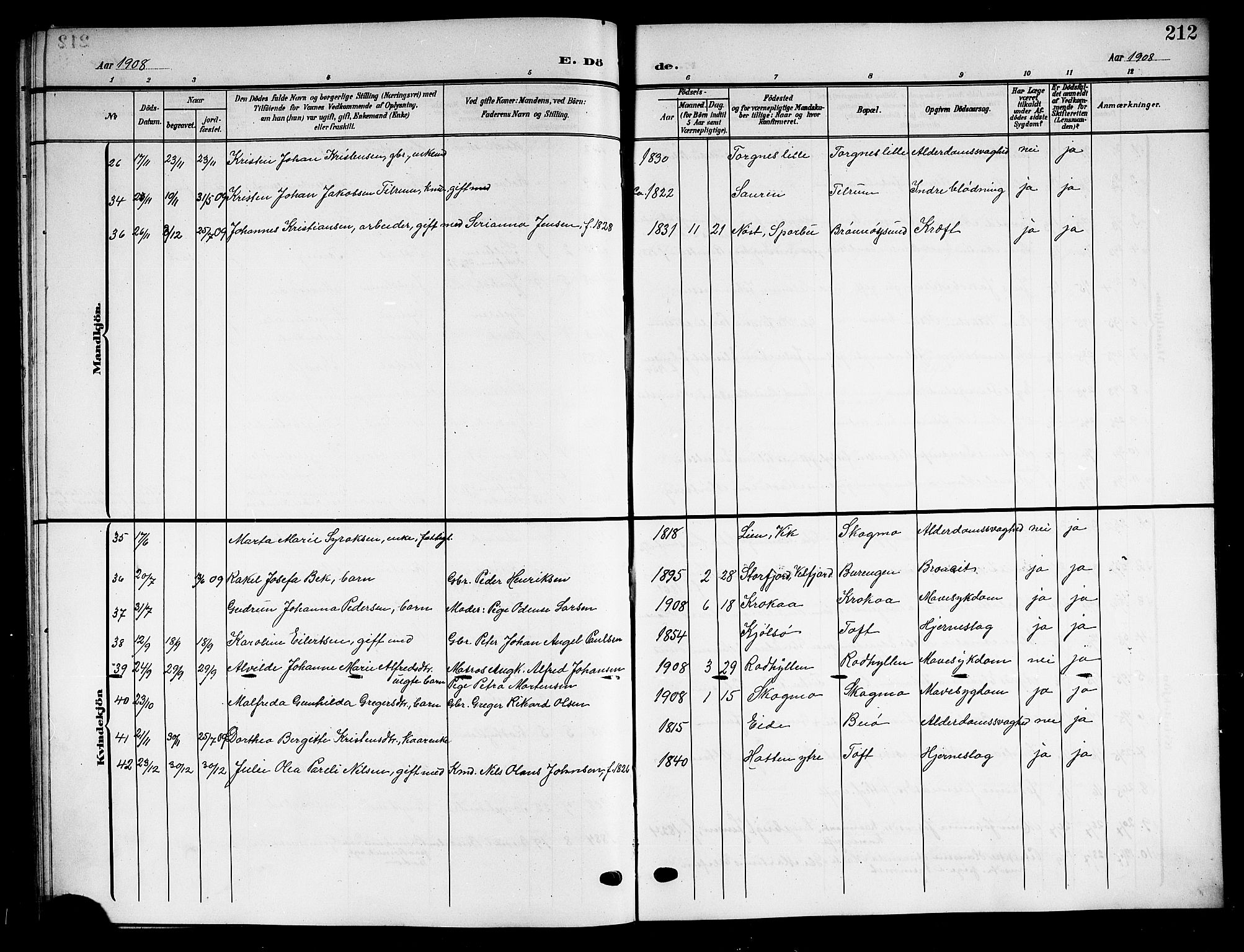 Ministerialprotokoller, klokkerbøker og fødselsregistre - Nordland, SAT/A-1459/813/L0214: Parish register (copy) no. 813C06, 1904-1917, p. 212