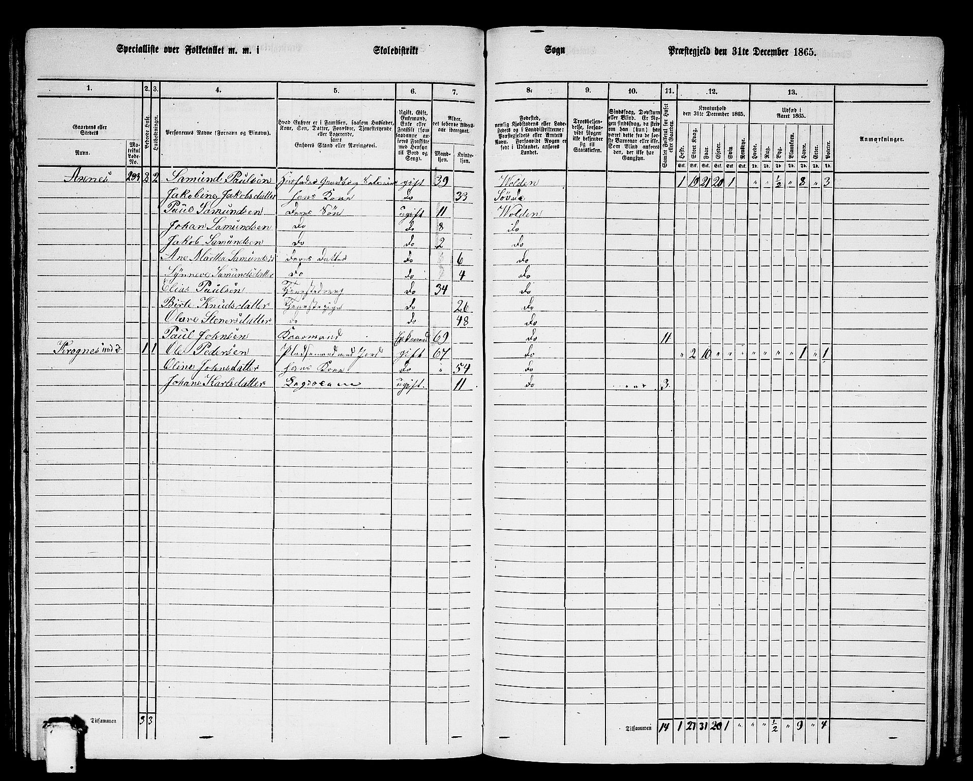 RA, 1865 census for Volda, 1865, p. 141