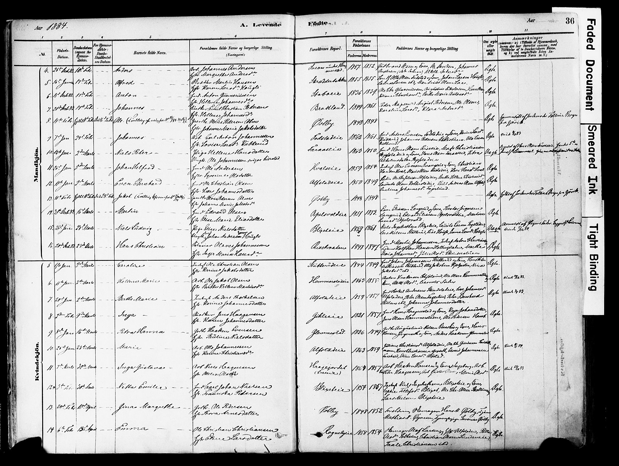 Østre Toten prestekontor, AV/SAH-PREST-104/H/Ha/Haa/L0006: Parish register (official) no. 6 /1, 1878-1896, p. 36