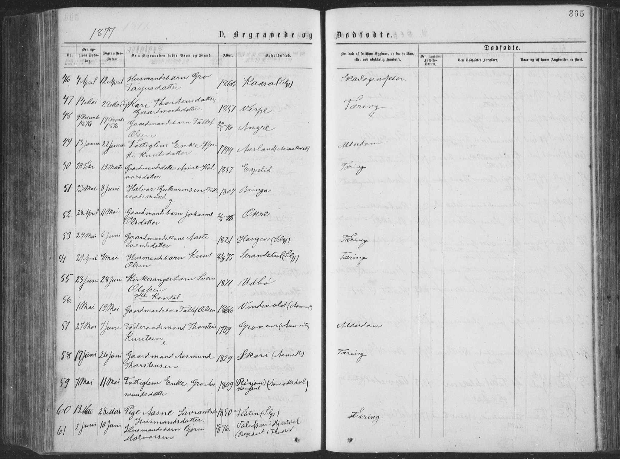 Seljord kirkebøker, AV/SAKO-A-20/F/Fa/L0014: Parish register (official) no. I 14, 1877-1886, p. 365