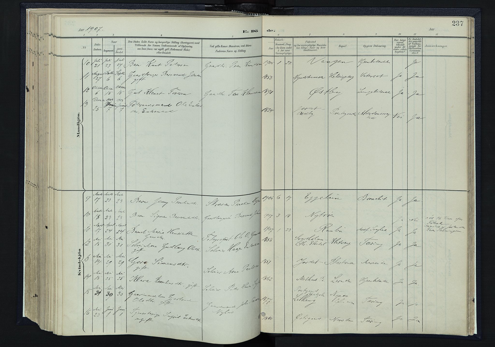 Tynset prestekontor, AV/SAH-PREST-058/H/Ha/Haa/L0025: Parish register (official) no. 25, 1900-1914, p. 237