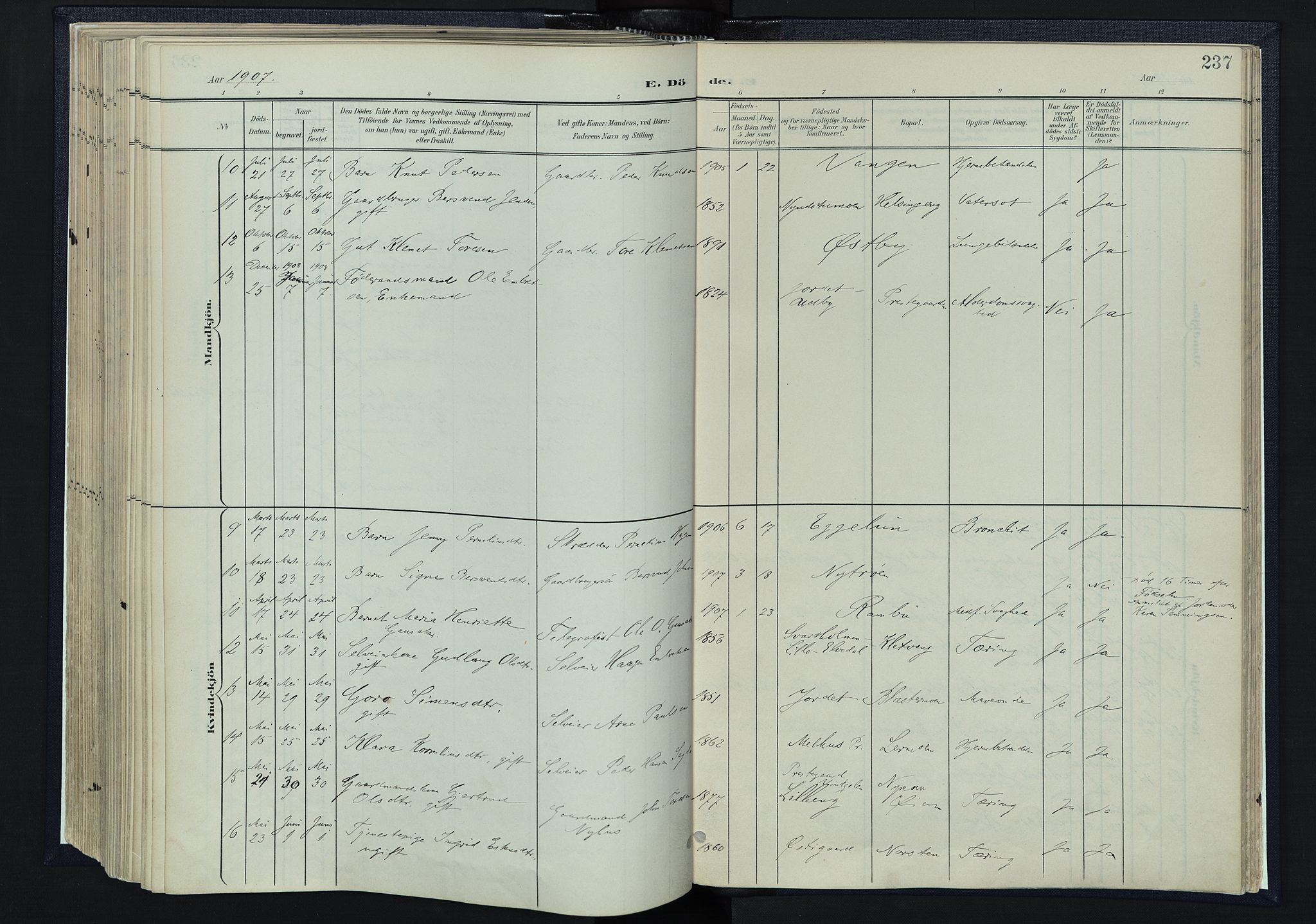 Tynset prestekontor, SAH/PREST-058/H/Ha/Haa/L0025: Parish register (official) no. 25, 1900-1914, p. 237