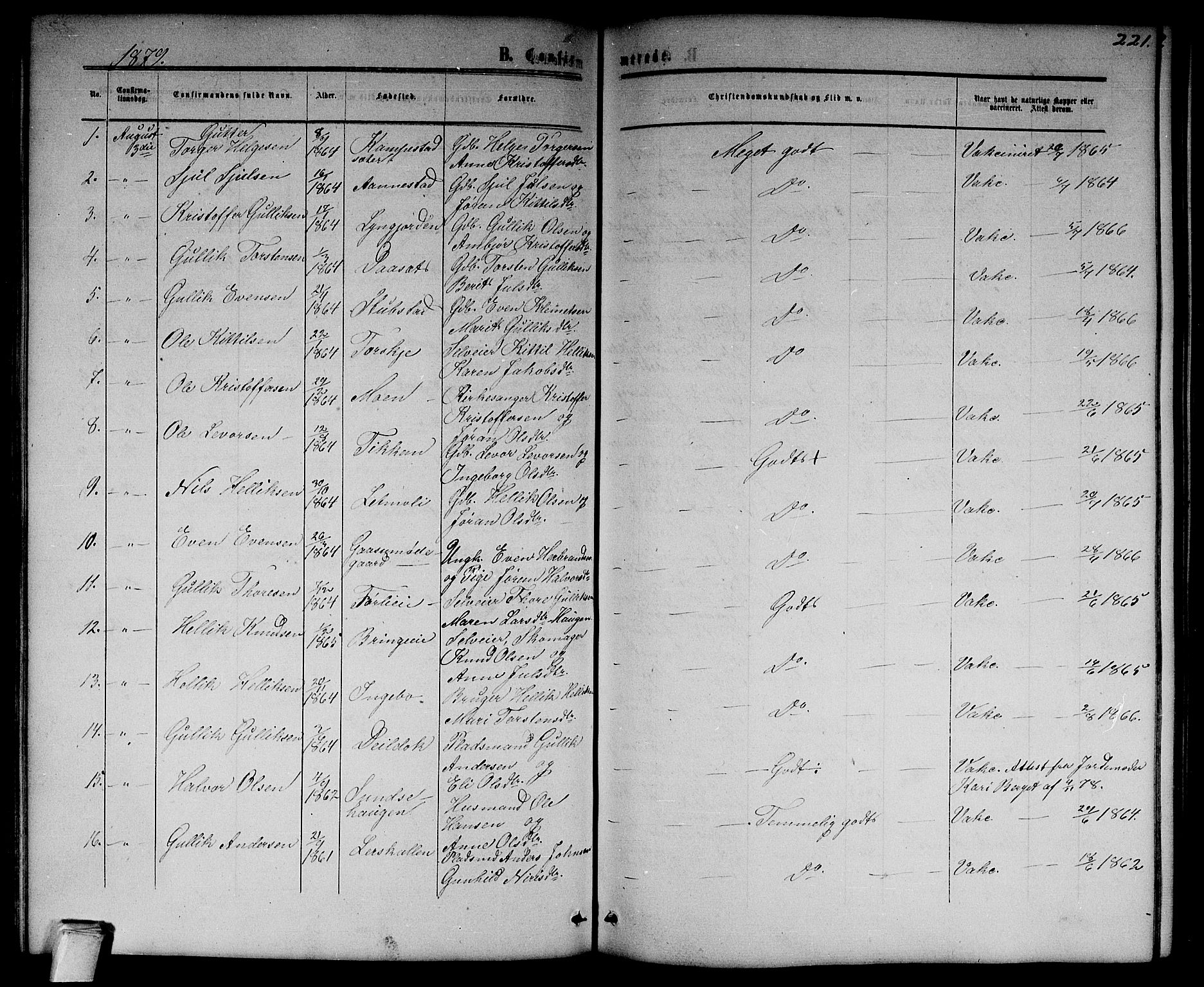 Flesberg kirkebøker, SAKO/A-18/G/Ga/L0003: Parish register (copy) no. I 3, 1861-1889, p. 221
