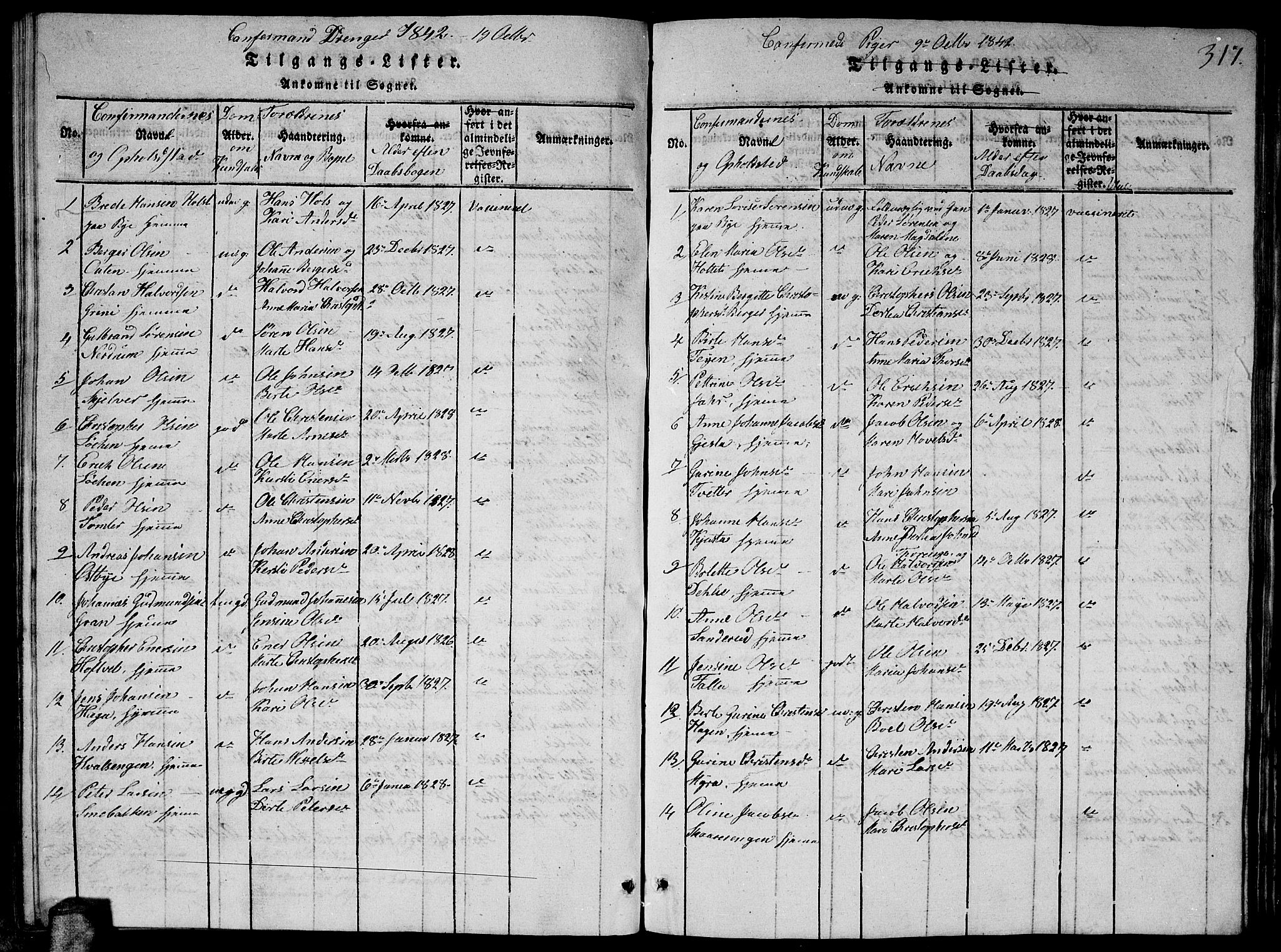 Fet prestekontor Kirkebøker, AV/SAO-A-10370a/G/Ga/L0001: Parish register (copy) no. I 1, 1815-1842, p. 317