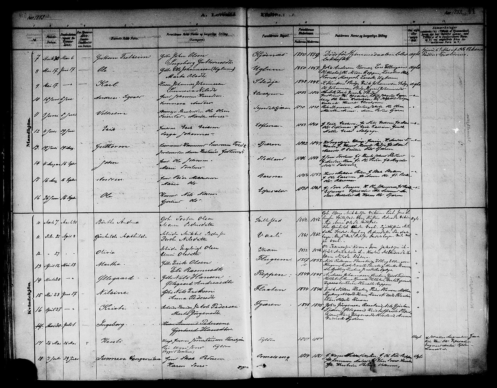 Sogndal sokneprestembete, AV/SAB-A-81301/H/Haa/Haab/L0001: Parish register (official) no. B 1, 1878-1899, p. 41