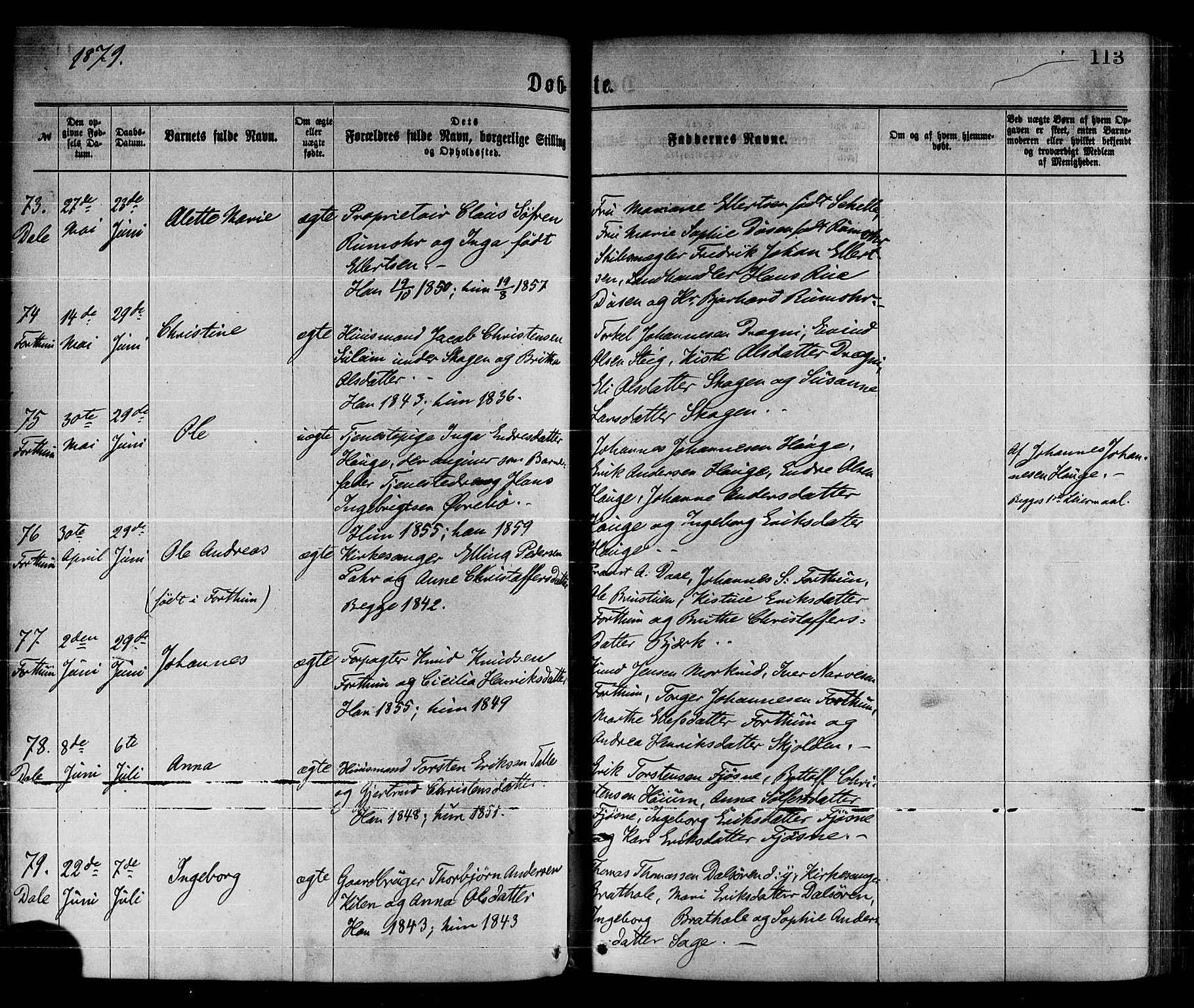 Luster sokneprestembete, SAB/A-81101/H/Haa/Haaa/L0010: Parish register (official) no. A 10, 1871-1886, p. 113