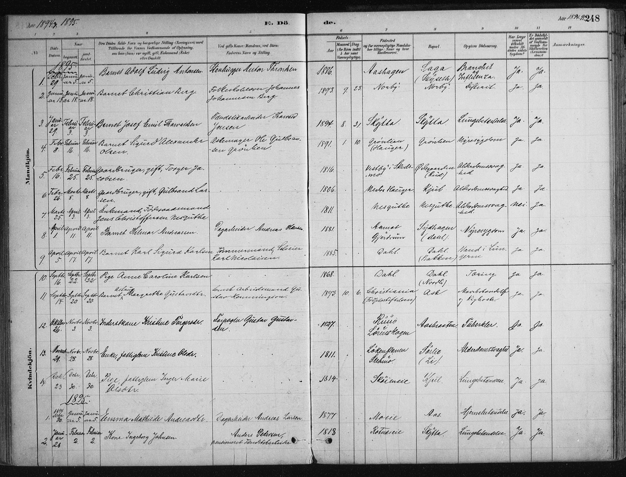 Nittedal prestekontor Kirkebøker, SAO/A-10365a/F/Fa/L0007: Parish register (official) no. I 7, 1879-1901, p. 248