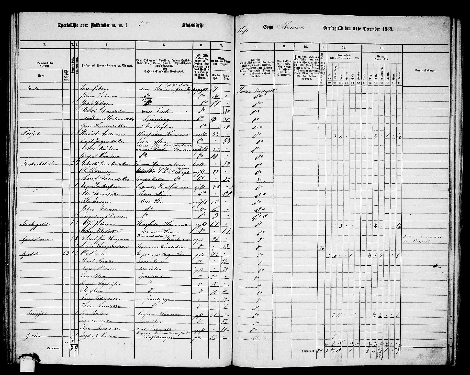 RA, 1865 census for Sunndal, 1865, p. 58