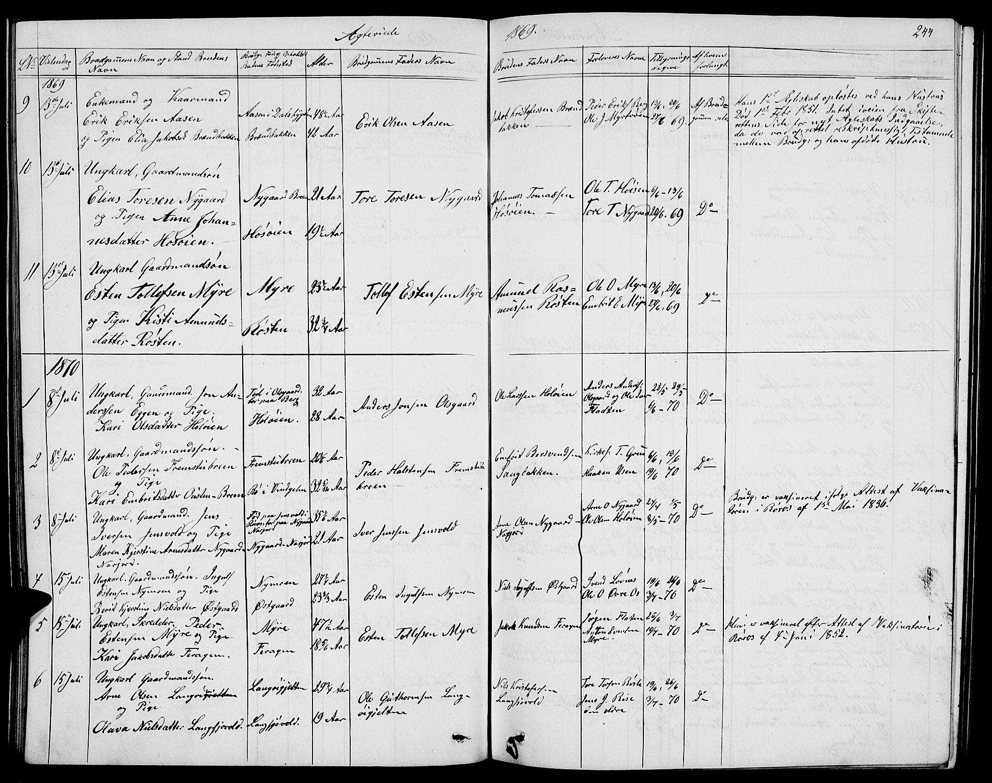 Tolga prestekontor, SAH/PREST-062/L/L0004: Parish register (copy) no. 4, 1845-1887, p. 244