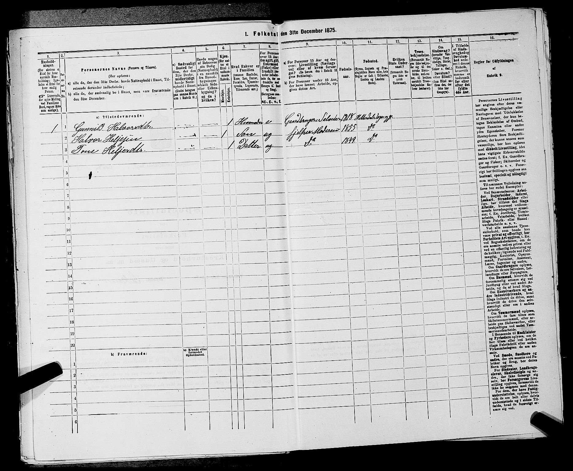 SAKO, 1875 census for 0821P Bø, 1875, p. 418