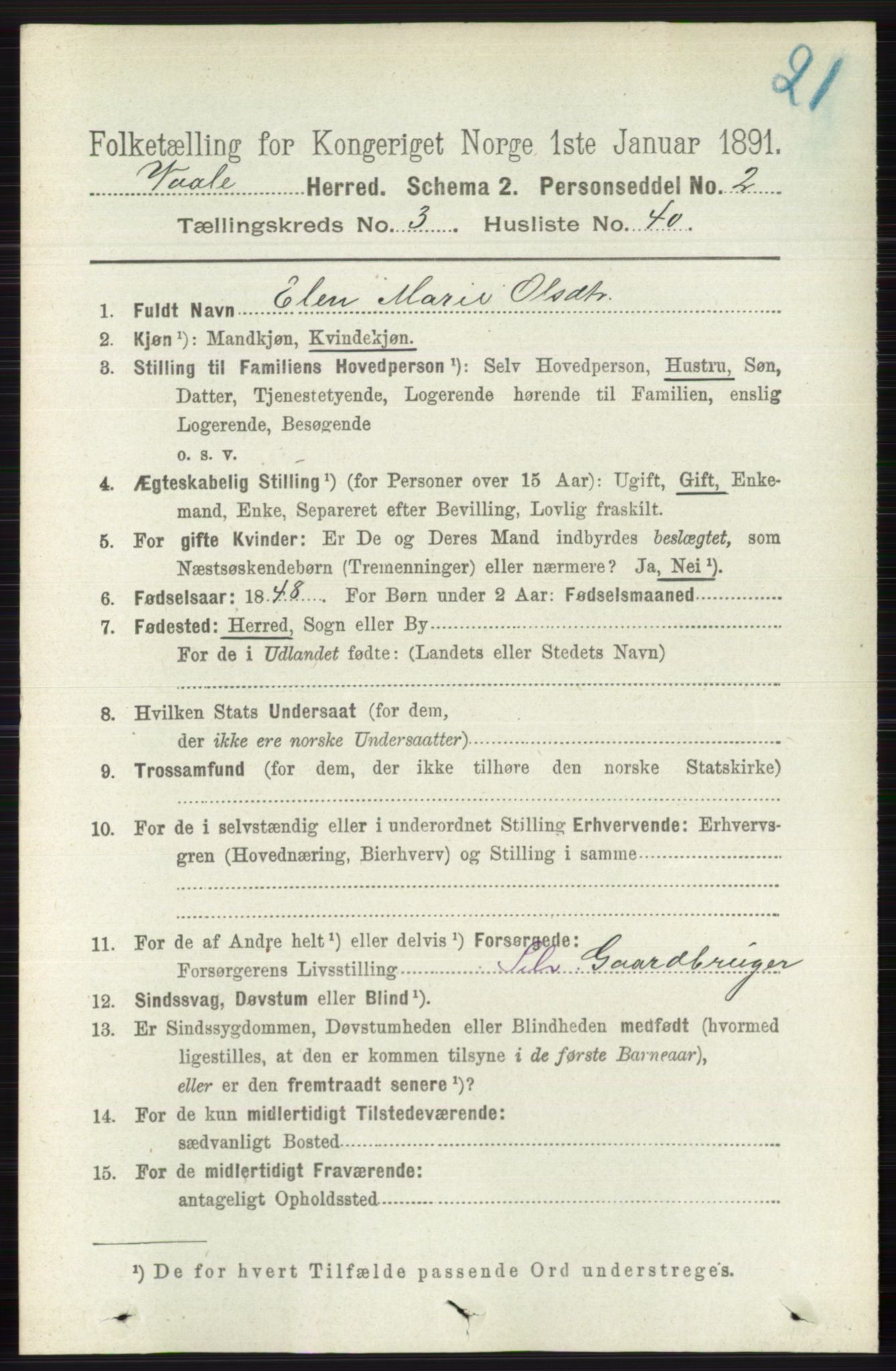 RA, 1891 census for 0716 Våle, 1891, p. 791