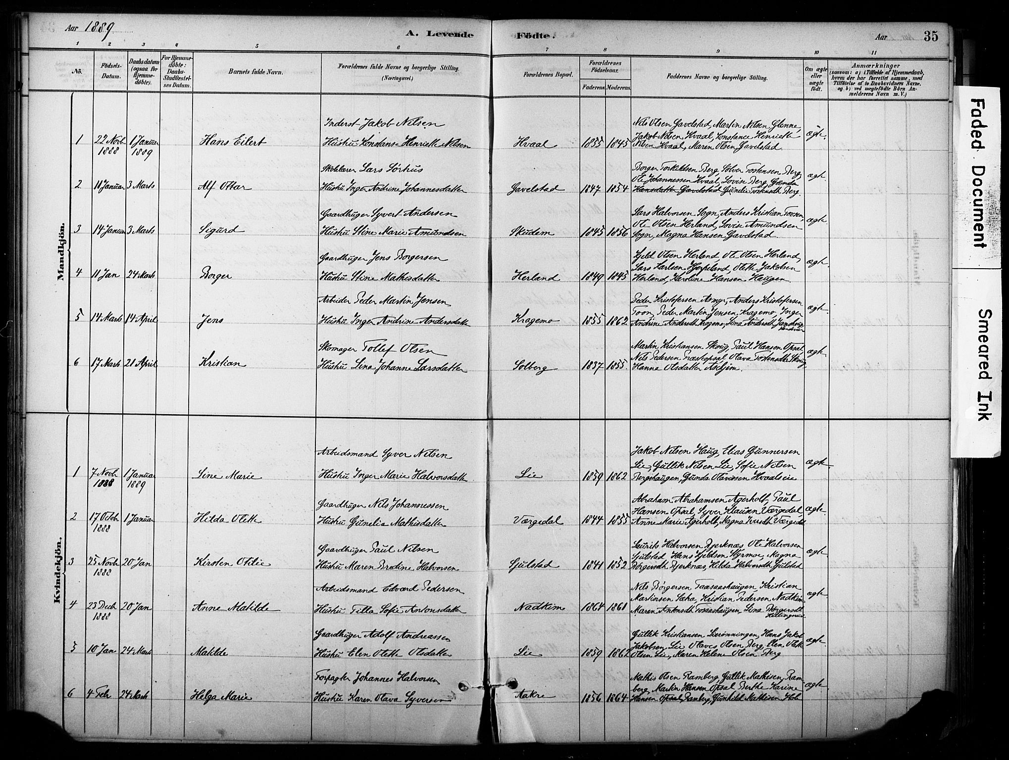 Lardal kirkebøker, AV/SAKO-A-350/F/Fb/L0001: Parish register (official) no. II 1, 1881-1911, p. 35