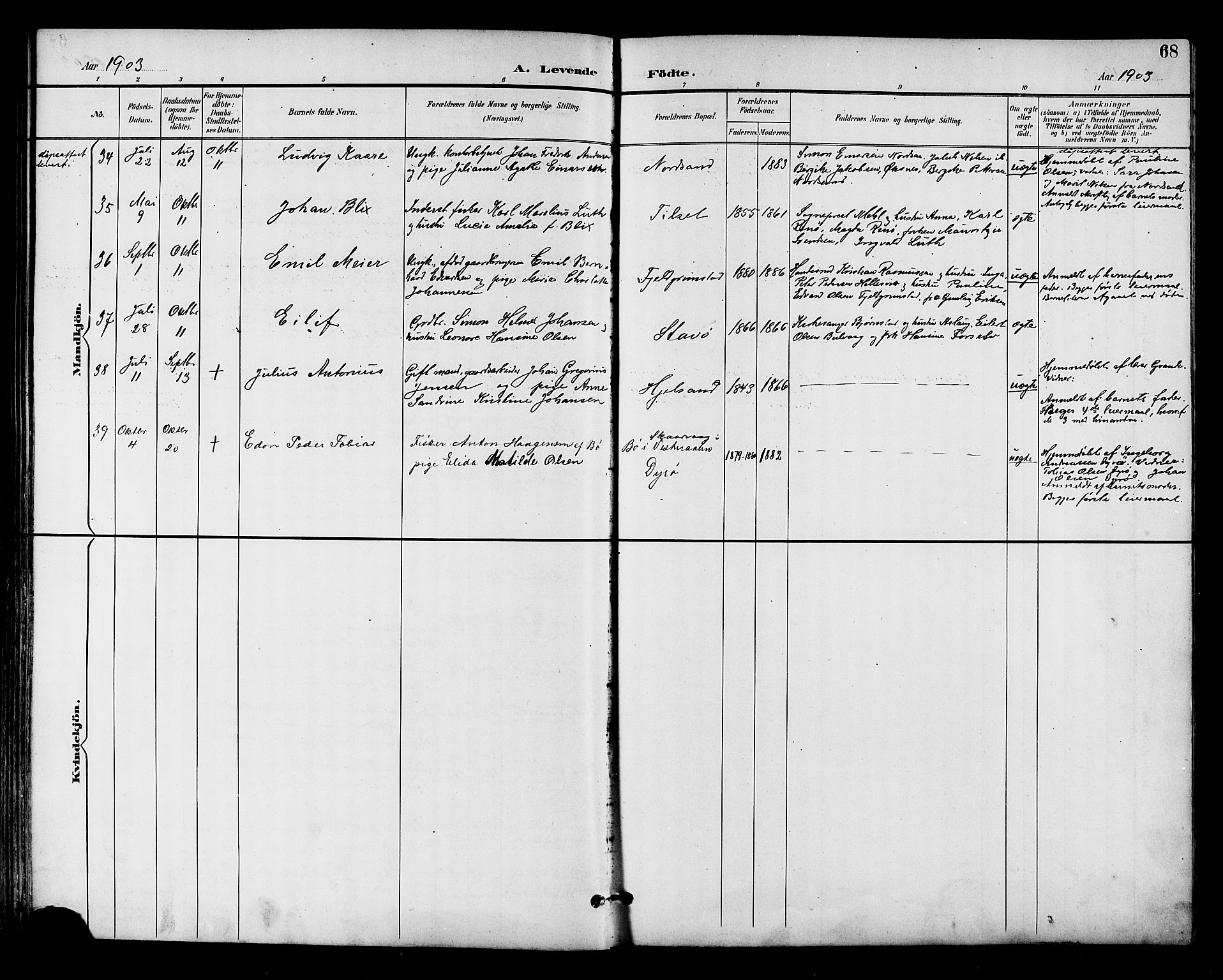 Ministerialprotokoller, klokkerbøker og fødselsregistre - Nordland, AV/SAT-A-1459/893/L1338: Parish register (official) no. 893A10, 1894-1903, p. 68