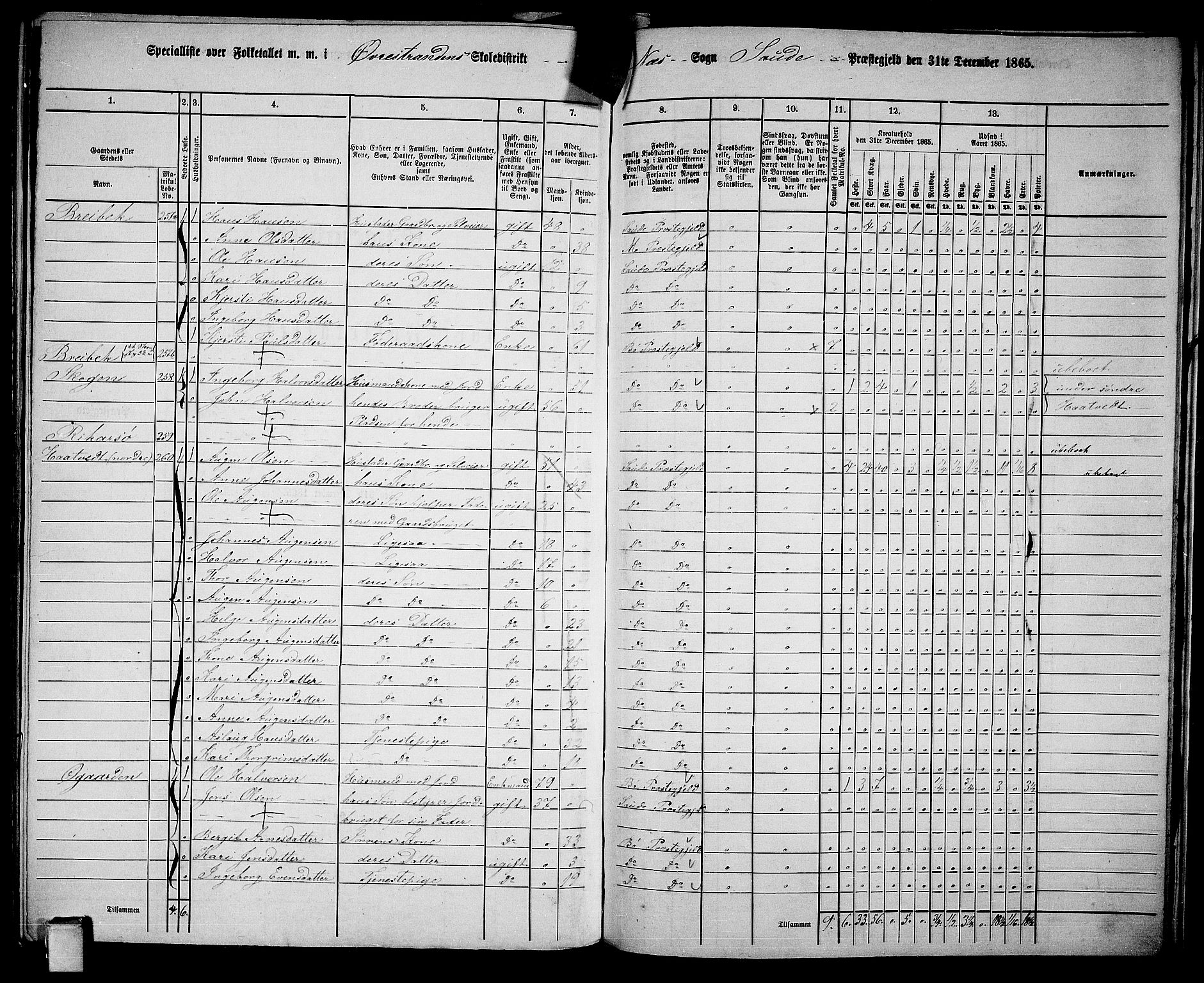 RA, 1865 census for Sauherad, 1865, p. 153