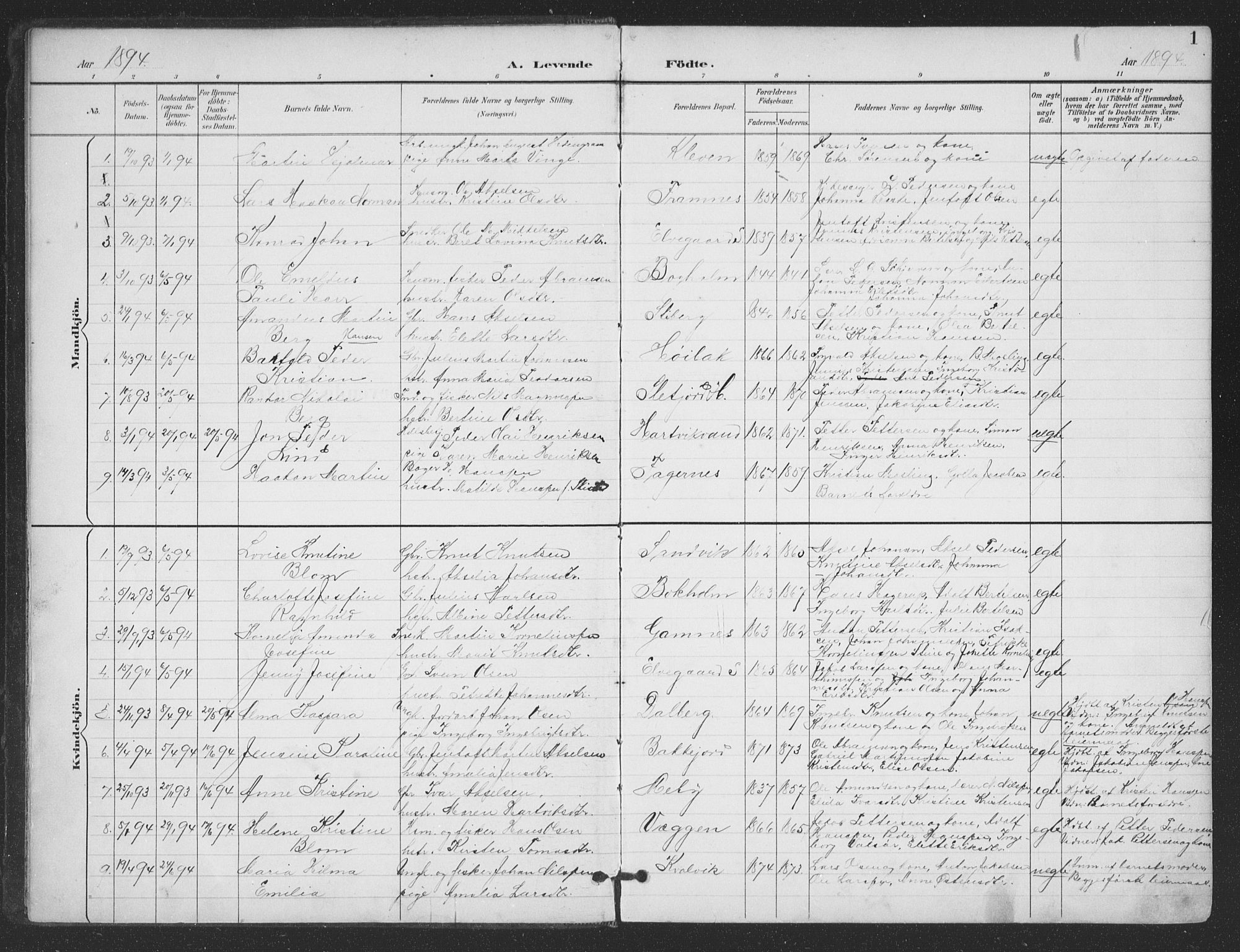 Ministerialprotokoller, klokkerbøker og fødselsregistre - Nordland, SAT/A-1459/866/L0939: Parish register (official) no. 866A02, 1894-1906, p. 1