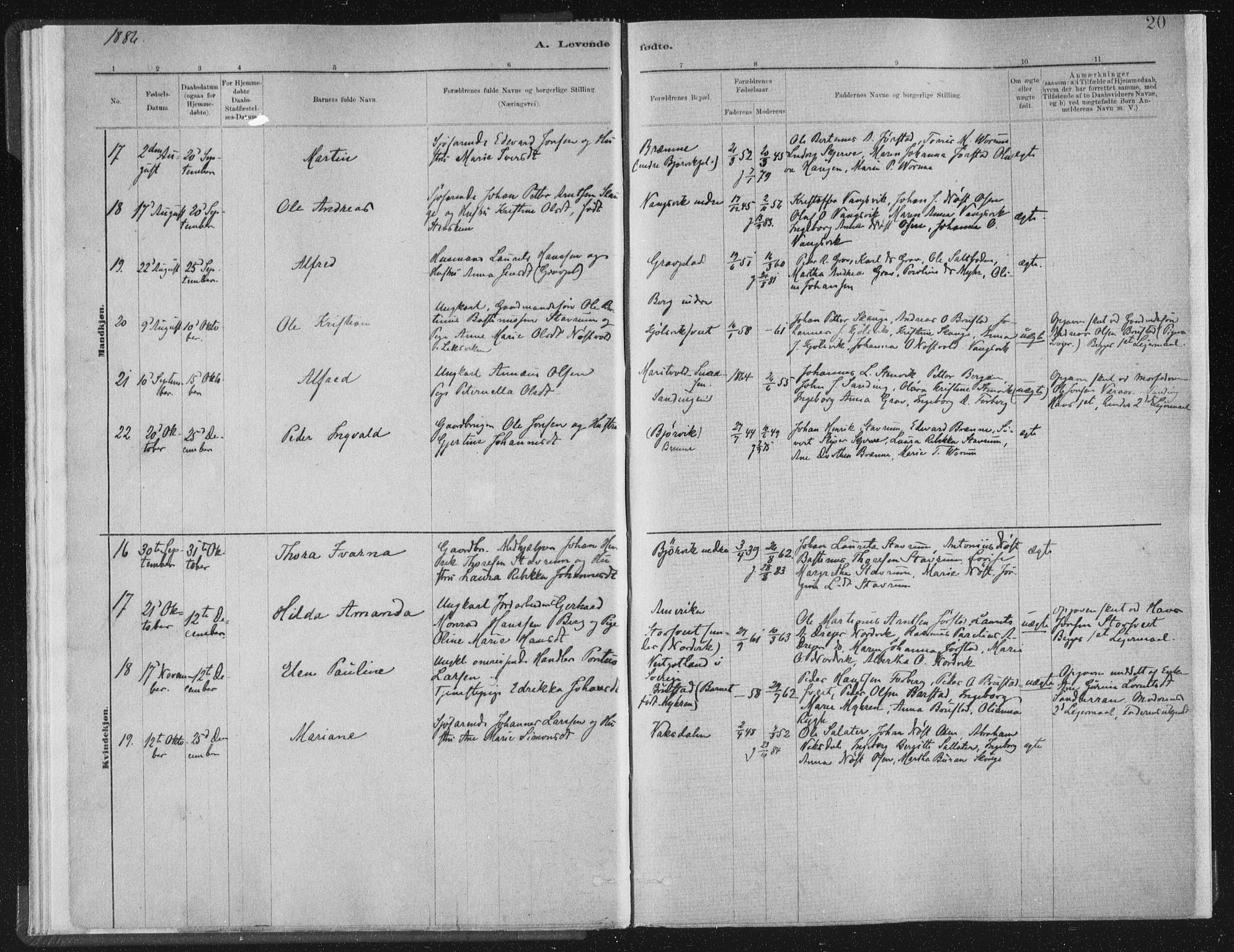 Ministerialprotokoller, klokkerbøker og fødselsregistre - Nord-Trøndelag, SAT/A-1458/722/L0220: Parish register (official) no. 722A07, 1881-1908, p. 20