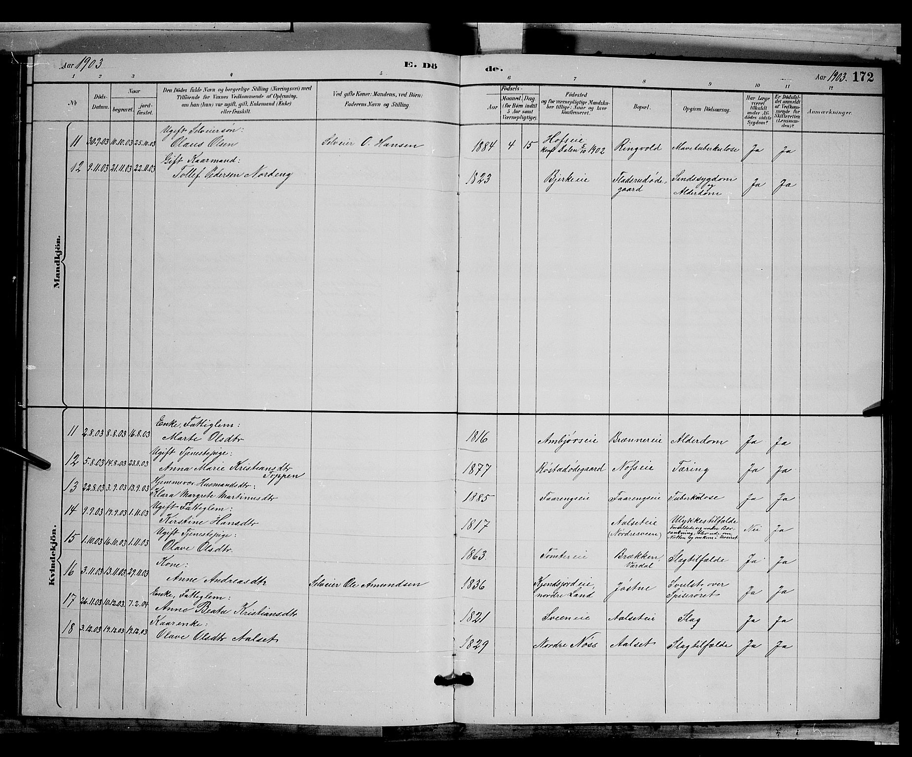 Biri prestekontor, SAH/PREST-096/H/Ha/Hab/L0003: Parish register (copy) no. 3, 1892-1905, p. 172