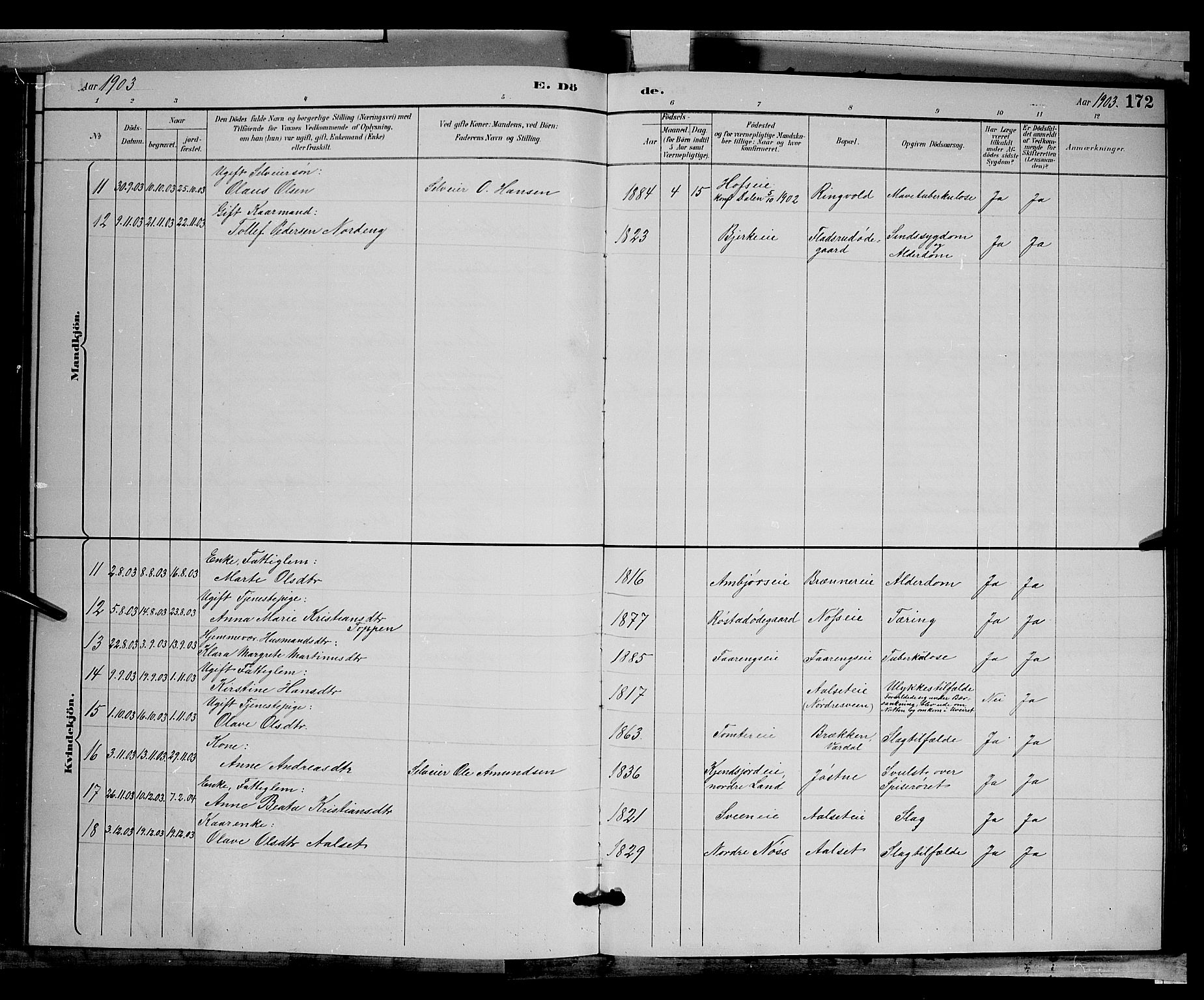 Biri prestekontor, AV/SAH-PREST-096/H/Ha/Hab/L0003: Parish register (copy) no. 3, 1892-1905, p. 172