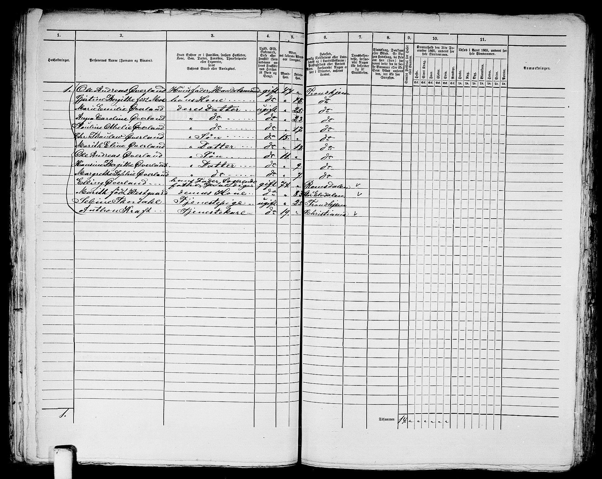 RA, 1865 census for Trondheim, 1865, p. 1227