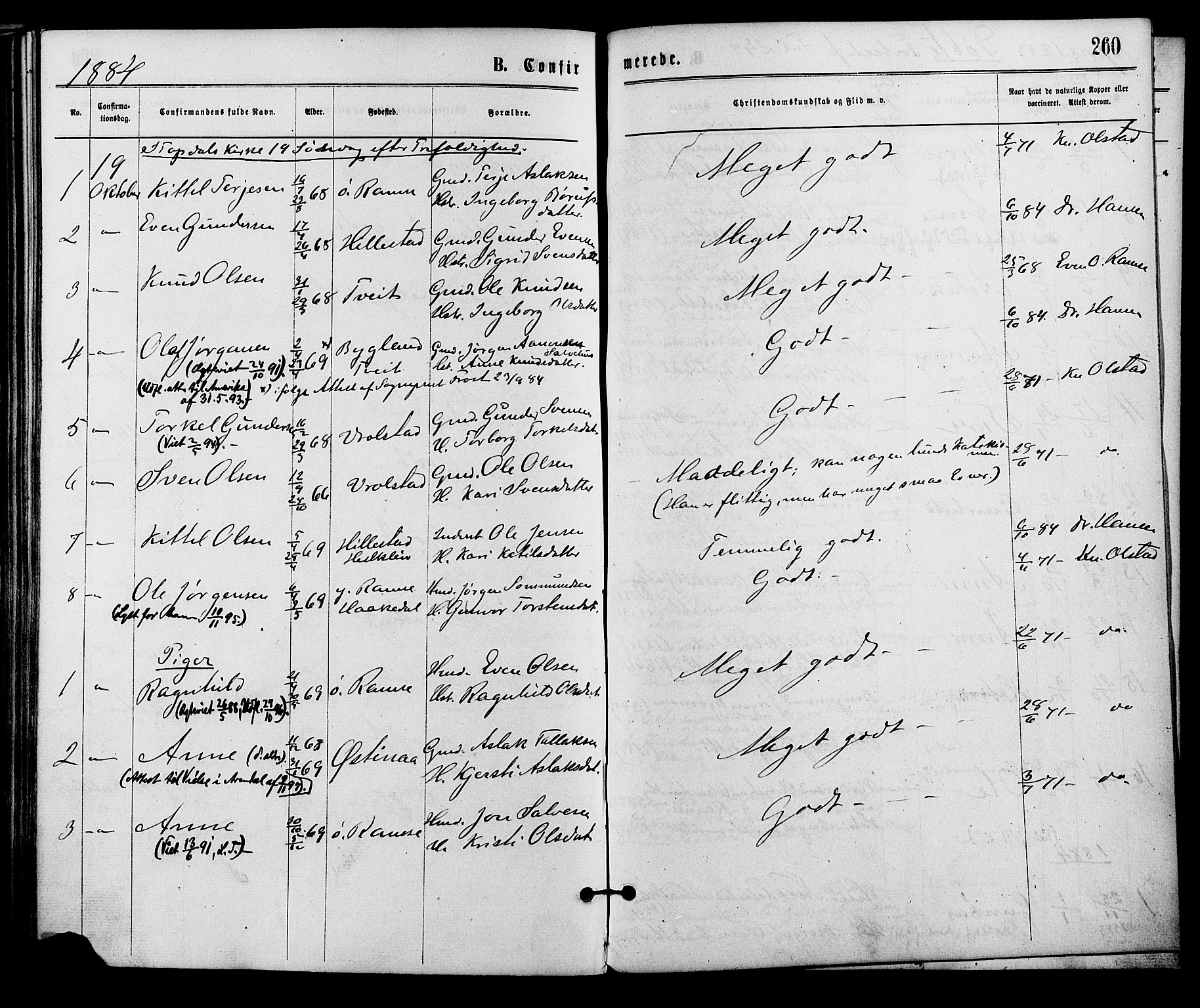 Åmli sokneprestkontor, SAK/1111-0050/F/Fa/Fac/L0009: Parish register (official) no. A 9 /3, 1869-1884, p. 260