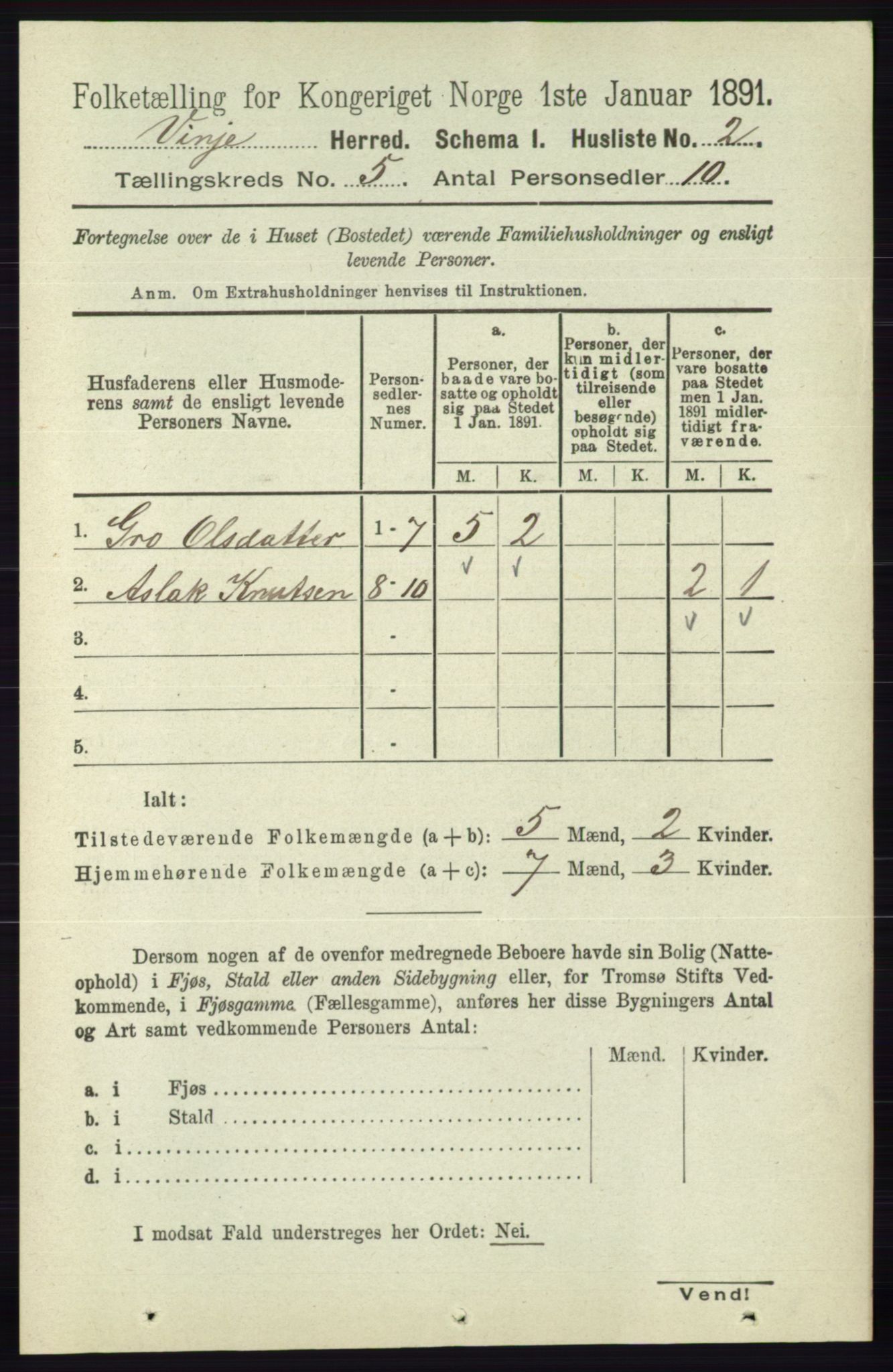 RA, 1891 census for 0834 Vinje, 1891, p. 1007